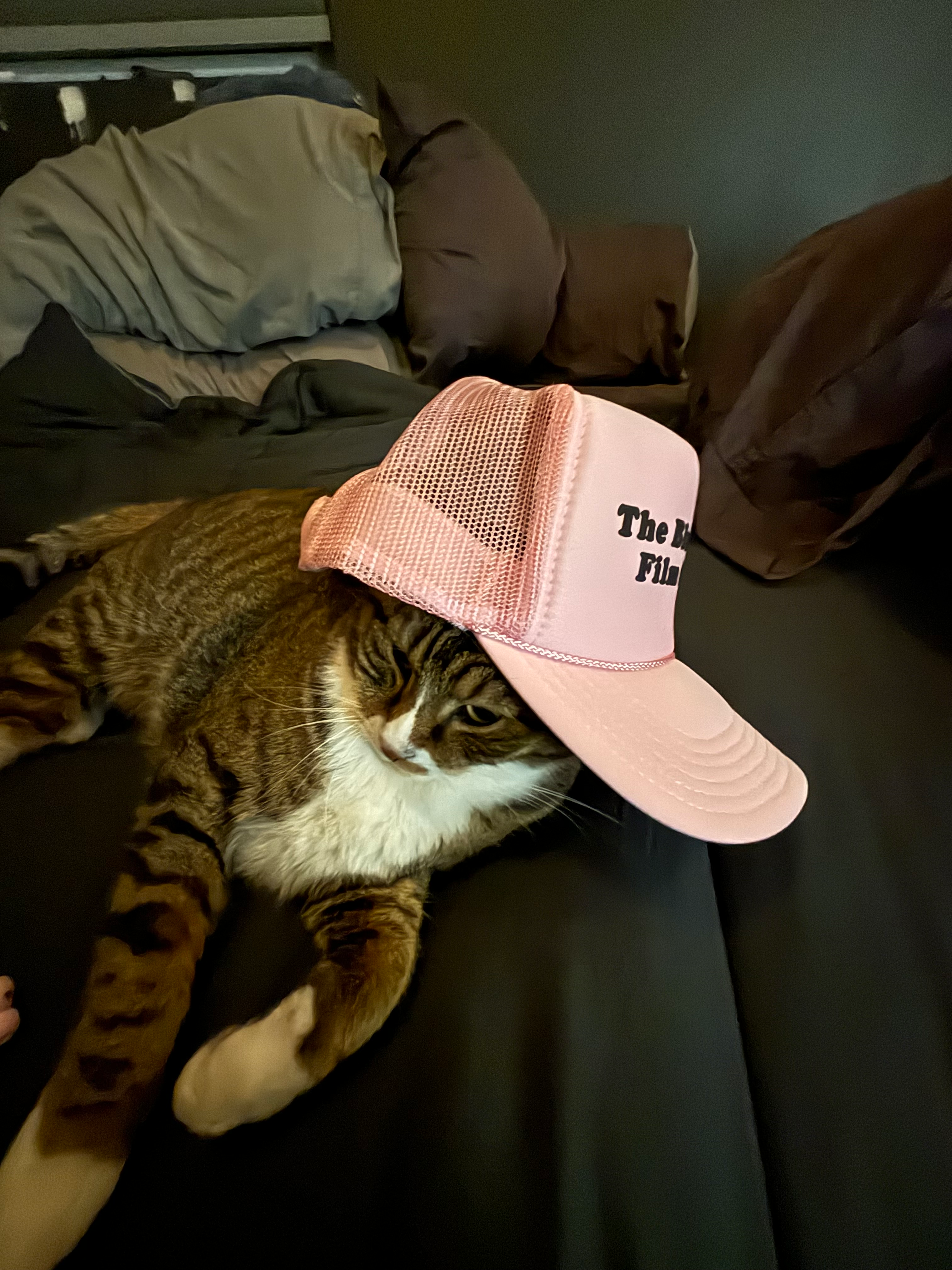 user avatar image for Nick Tolano