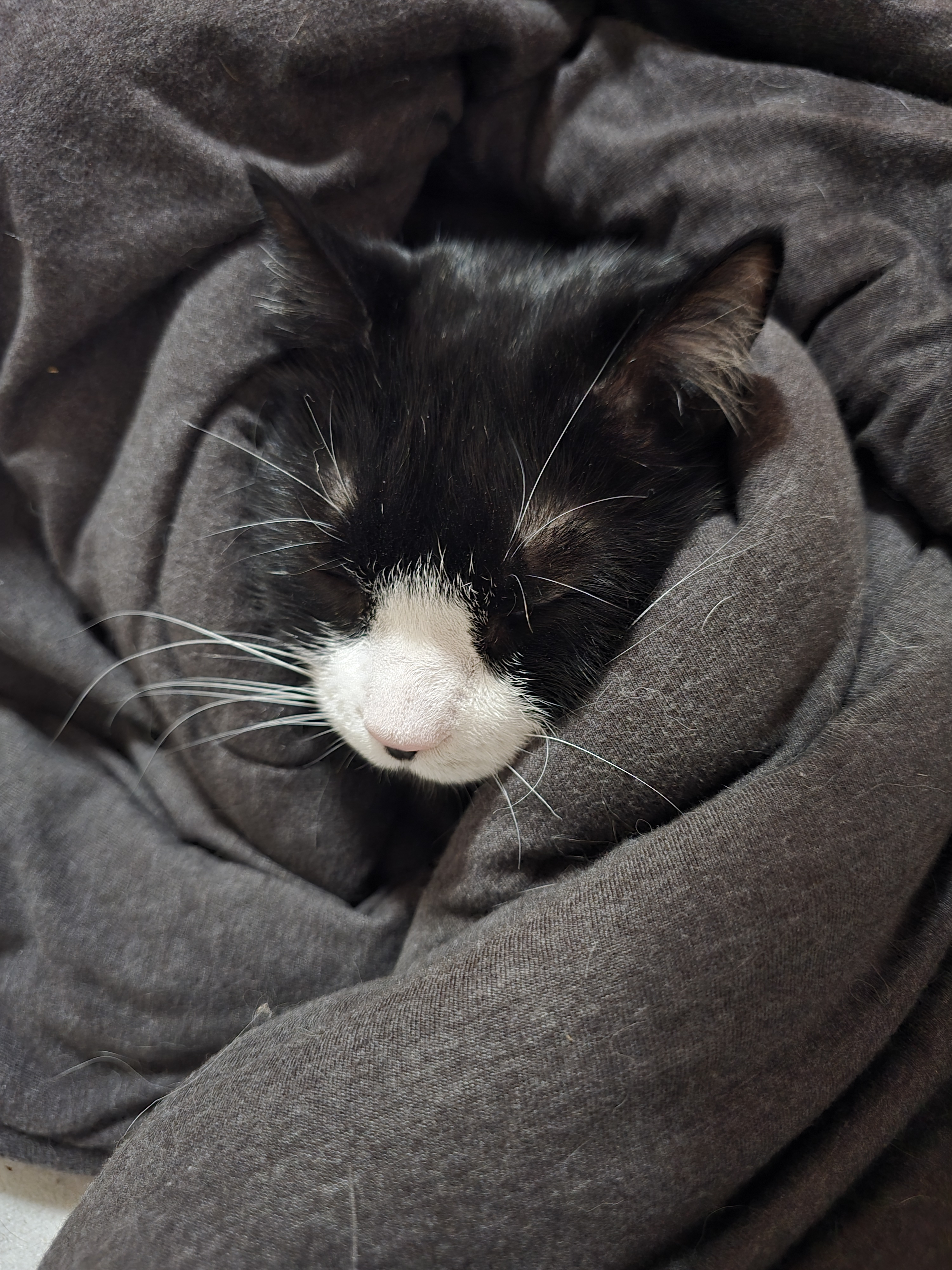 user avatar image for April