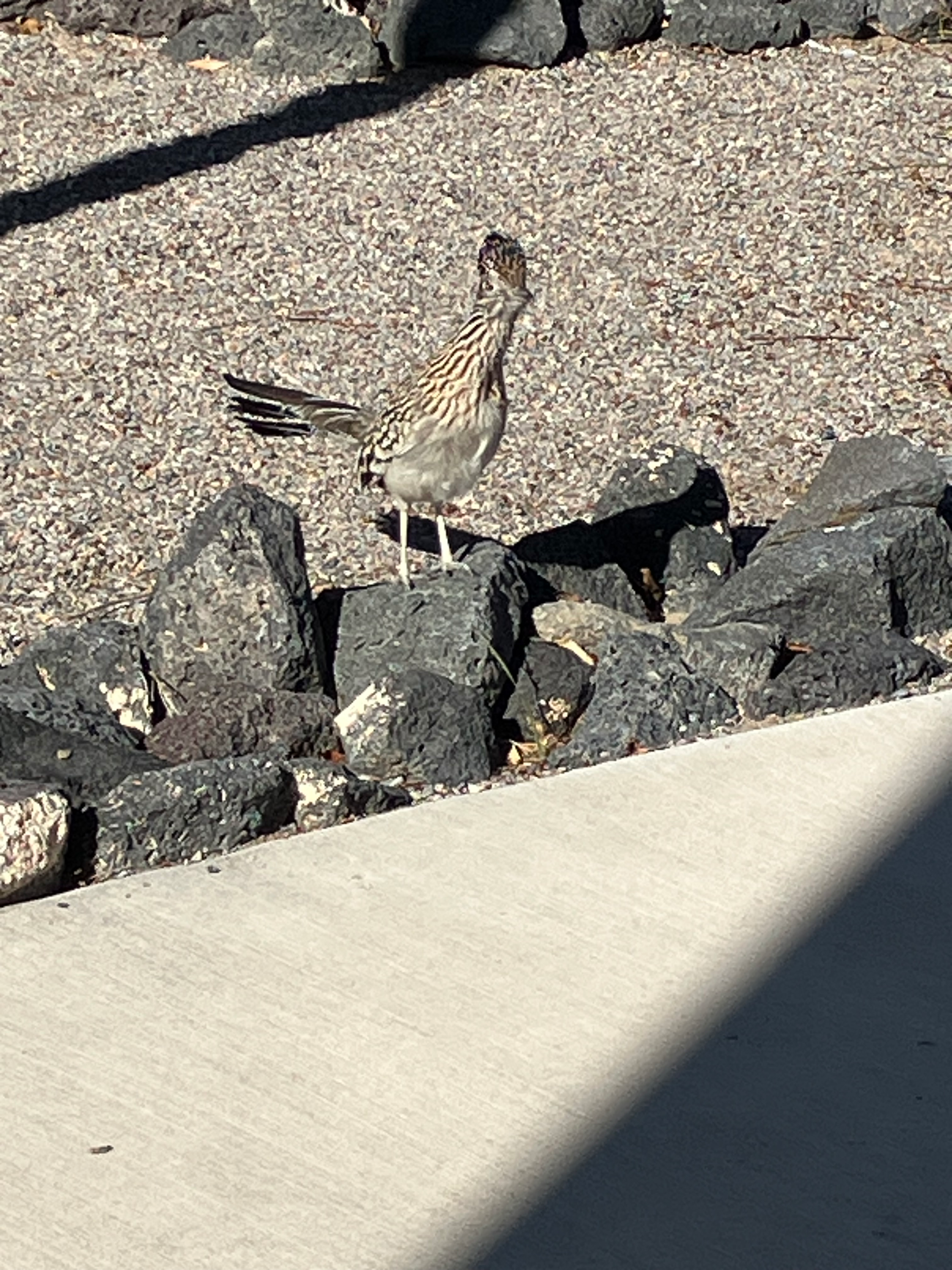 user avatar image for Jessica