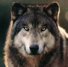 user avatar image for caleb72