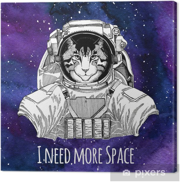 user avatar image for Embot