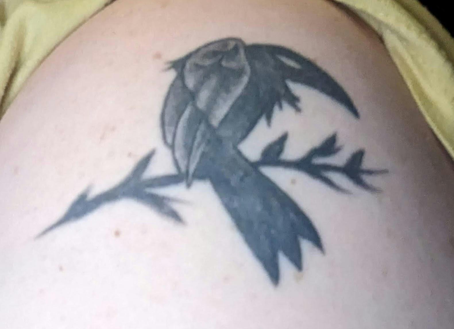 user avatar image for Summer Storm