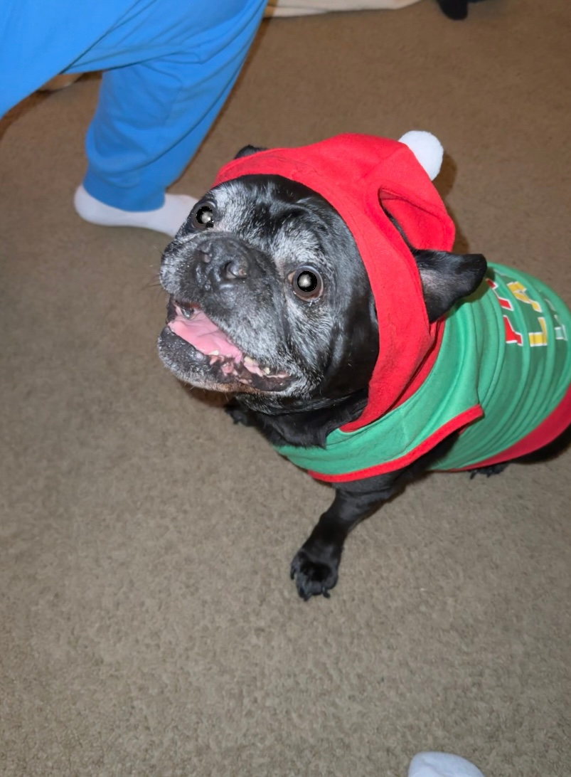 user avatar image for Hexigore