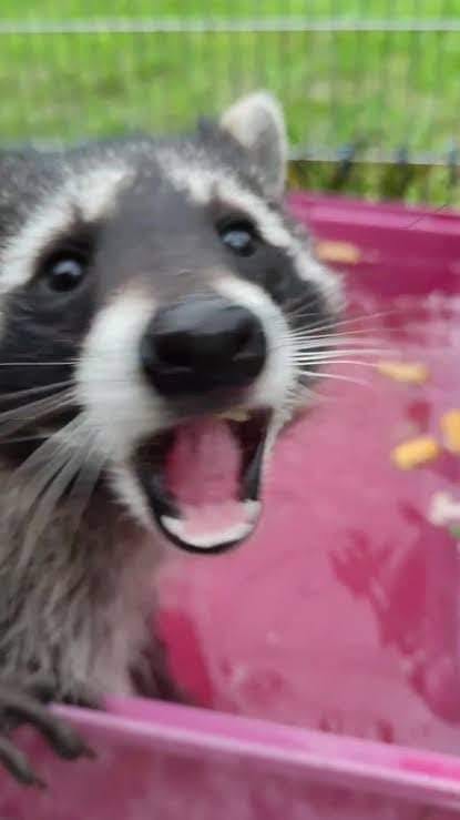 user avatar image for Lily Clift