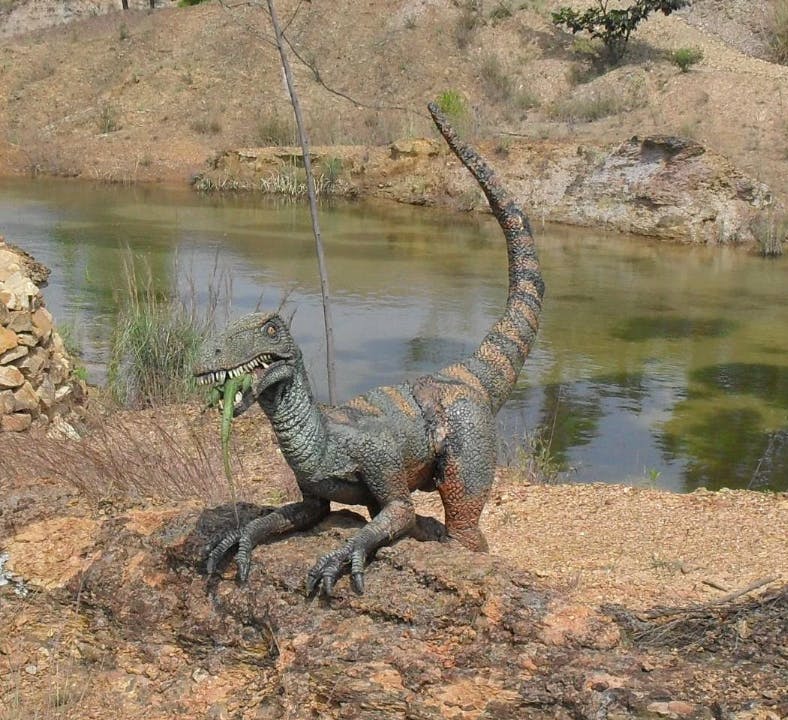 Prairie Devil