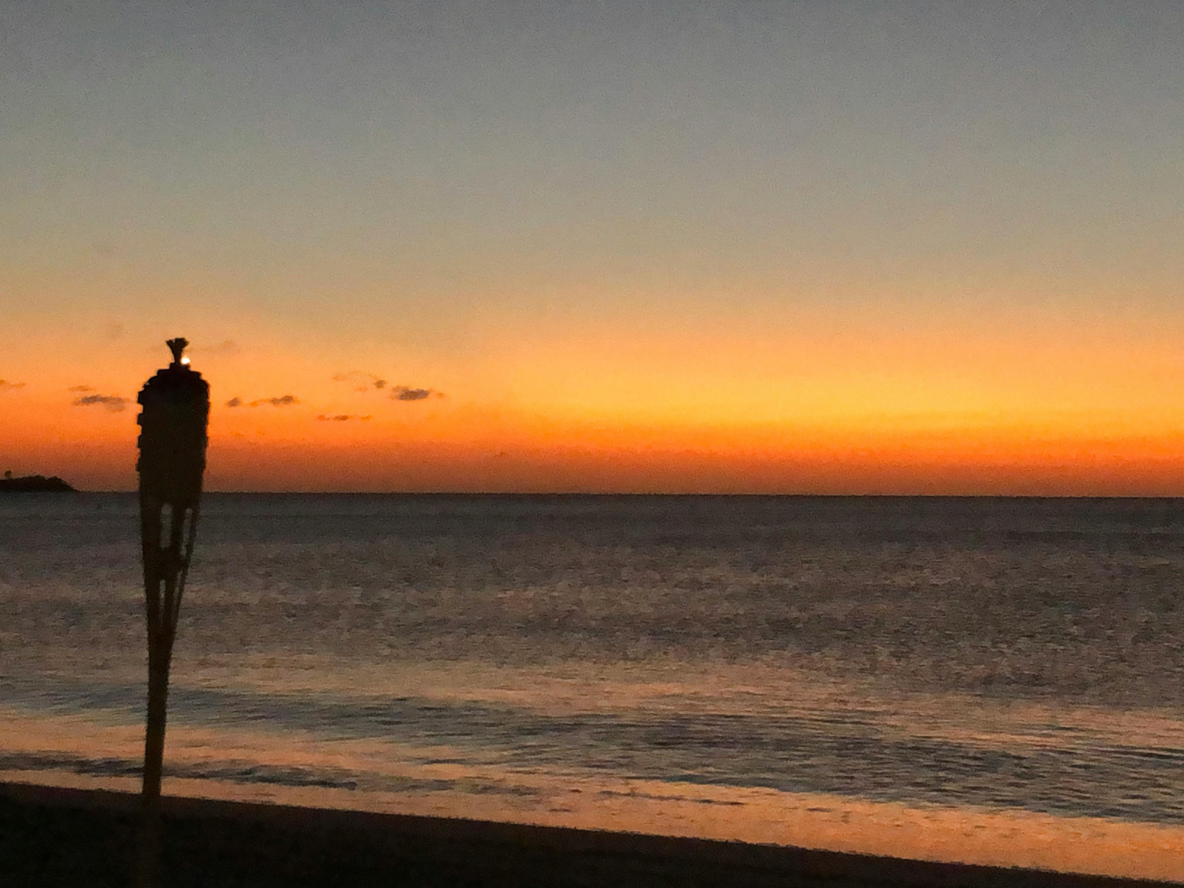 user avatar image for JulieS