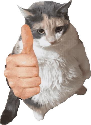 user avatar image for Freedomgoon