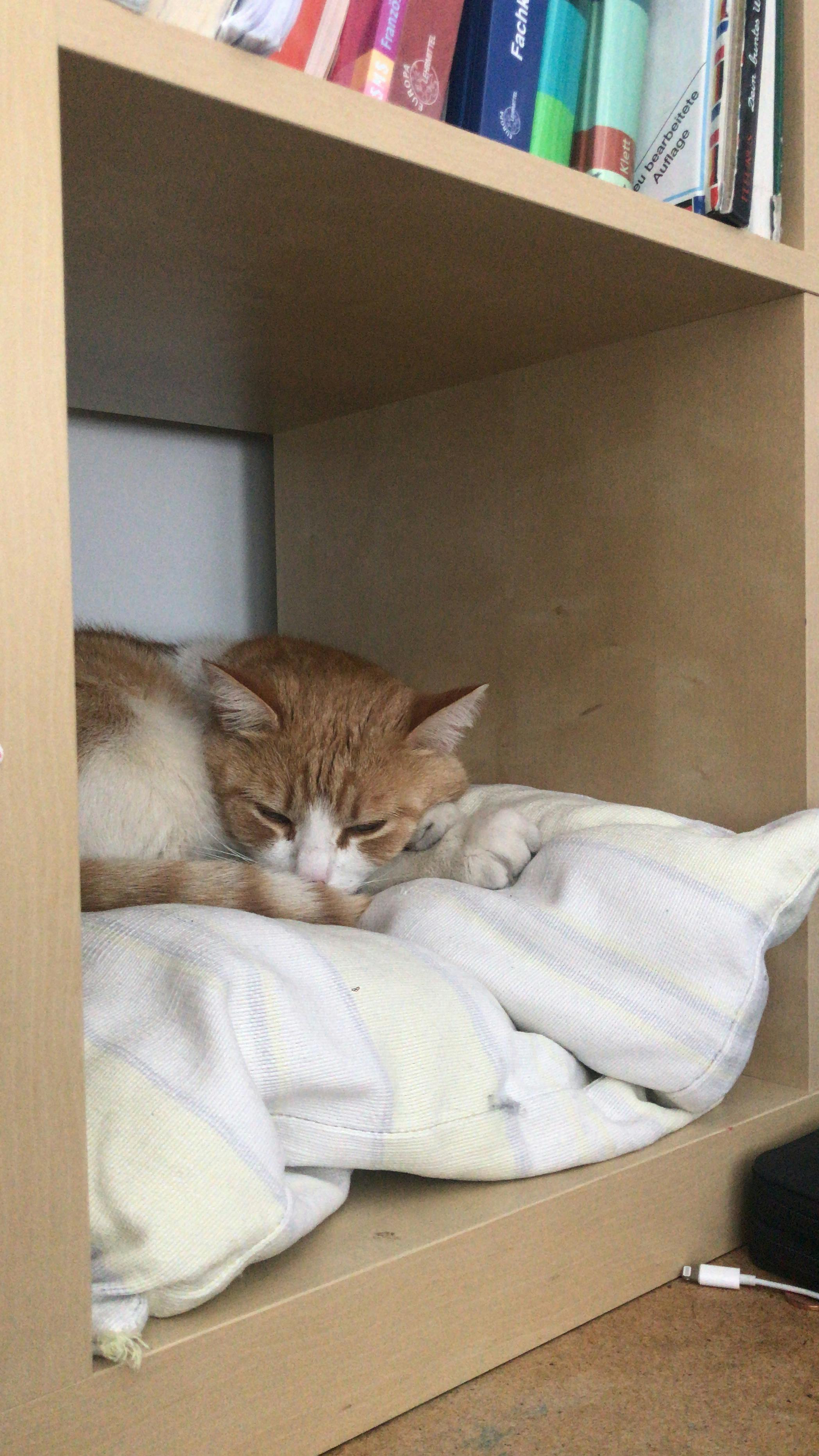 user avatar image for Paul Ambs