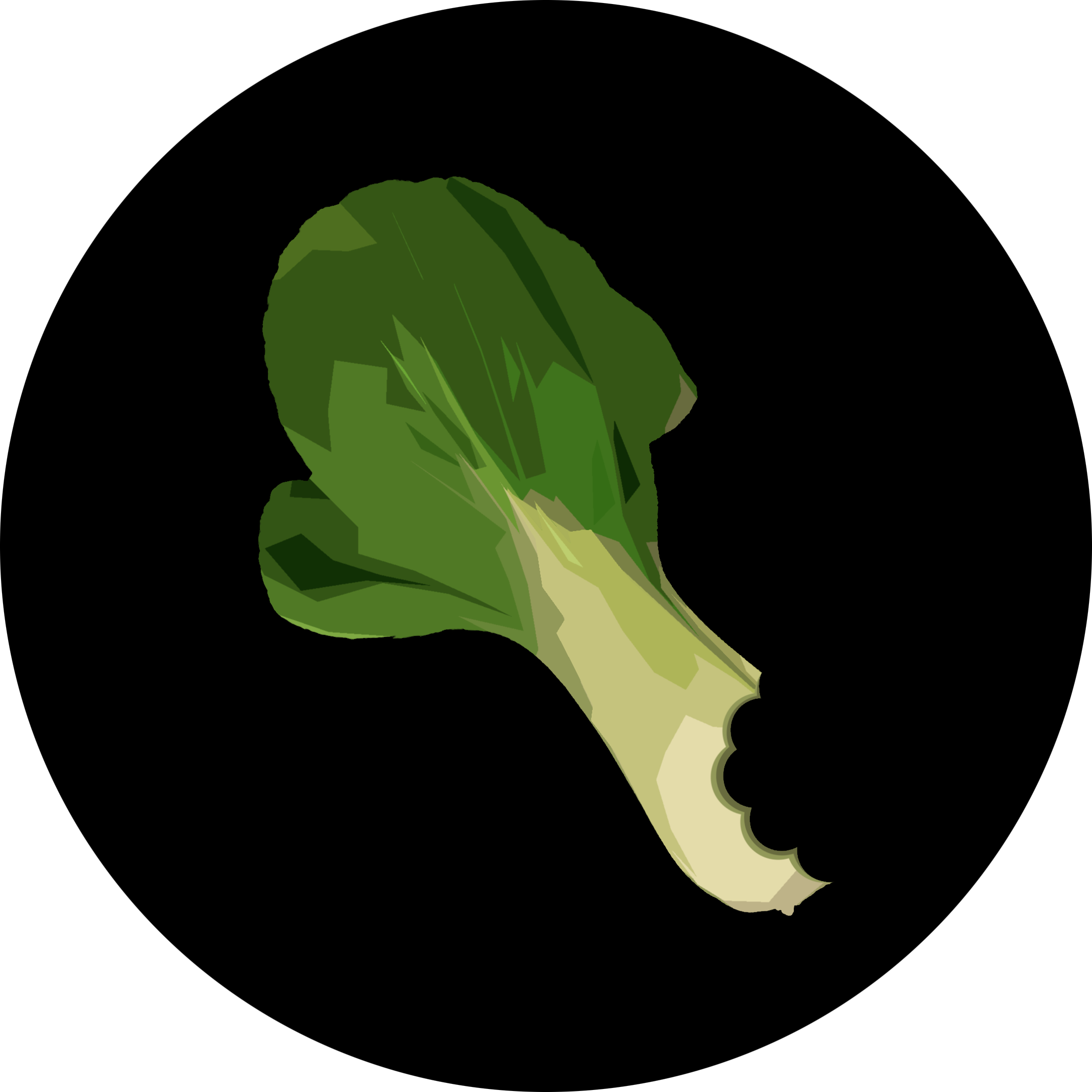 user avatar image for Connor BokChoy