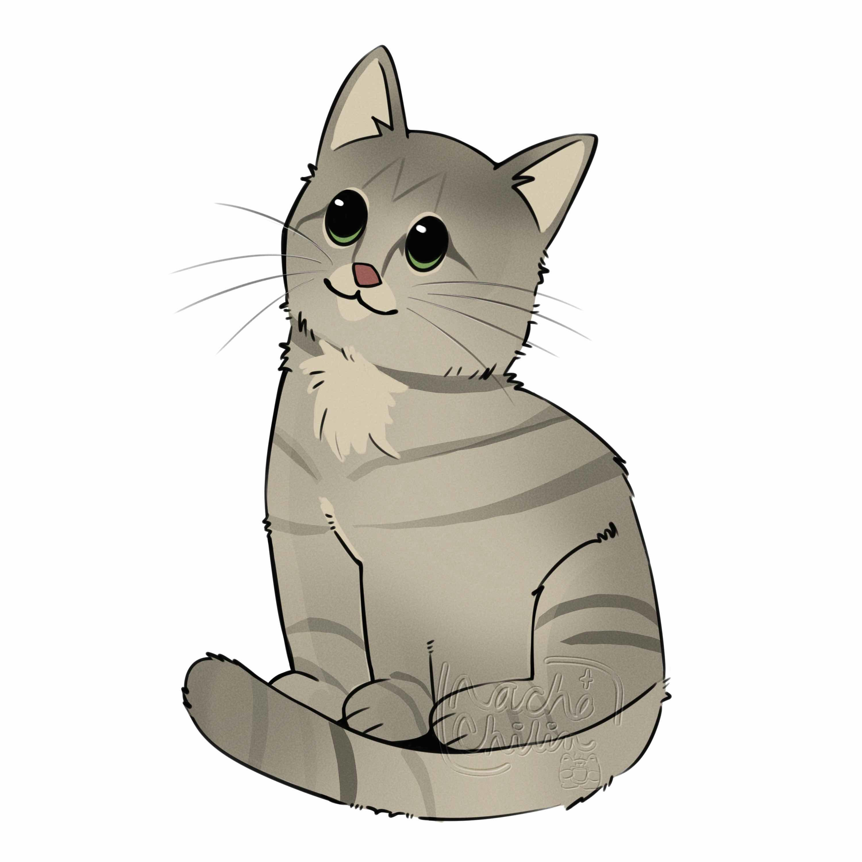 user avatar image for shara