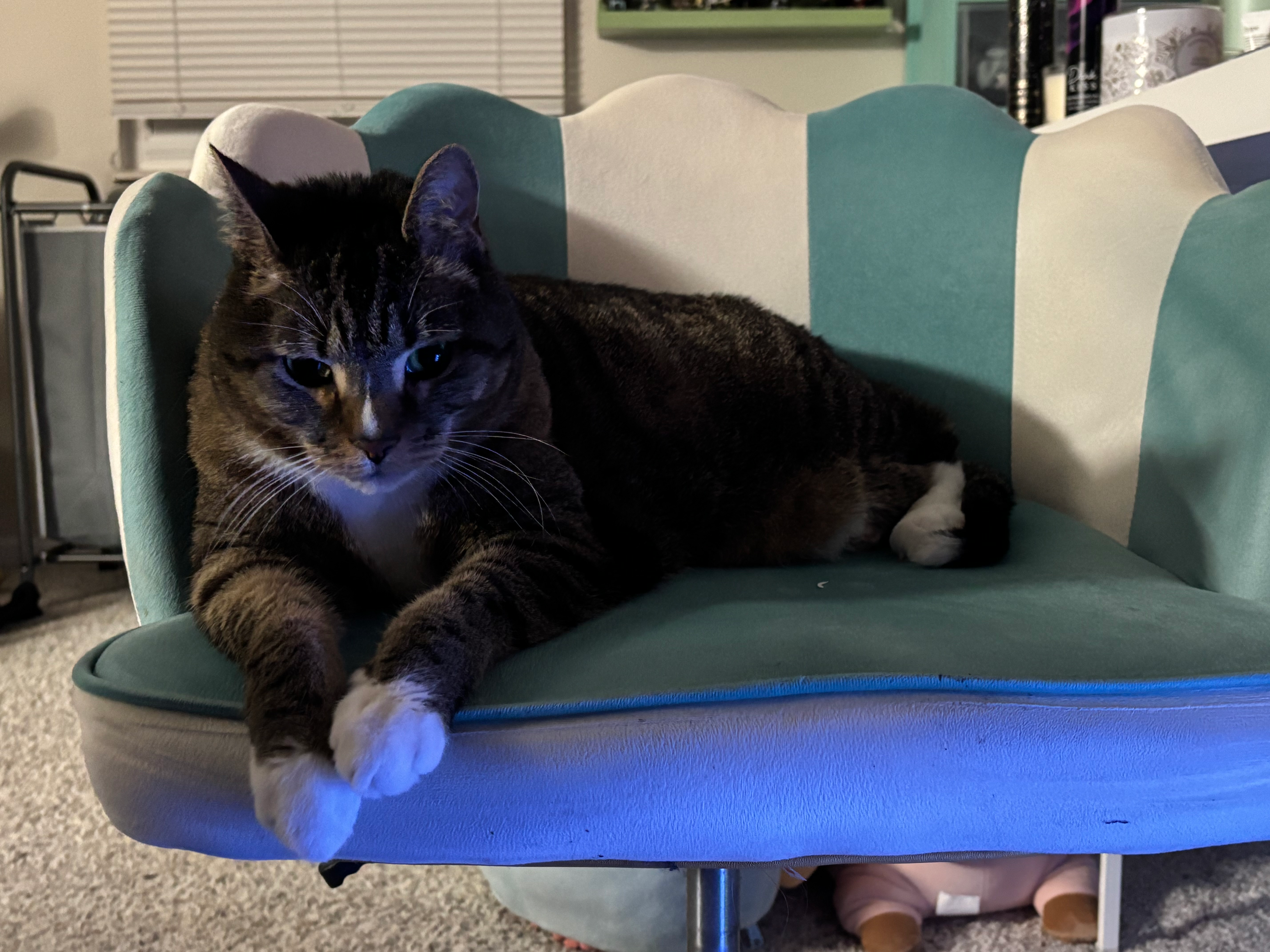 user avatar image for Corvus