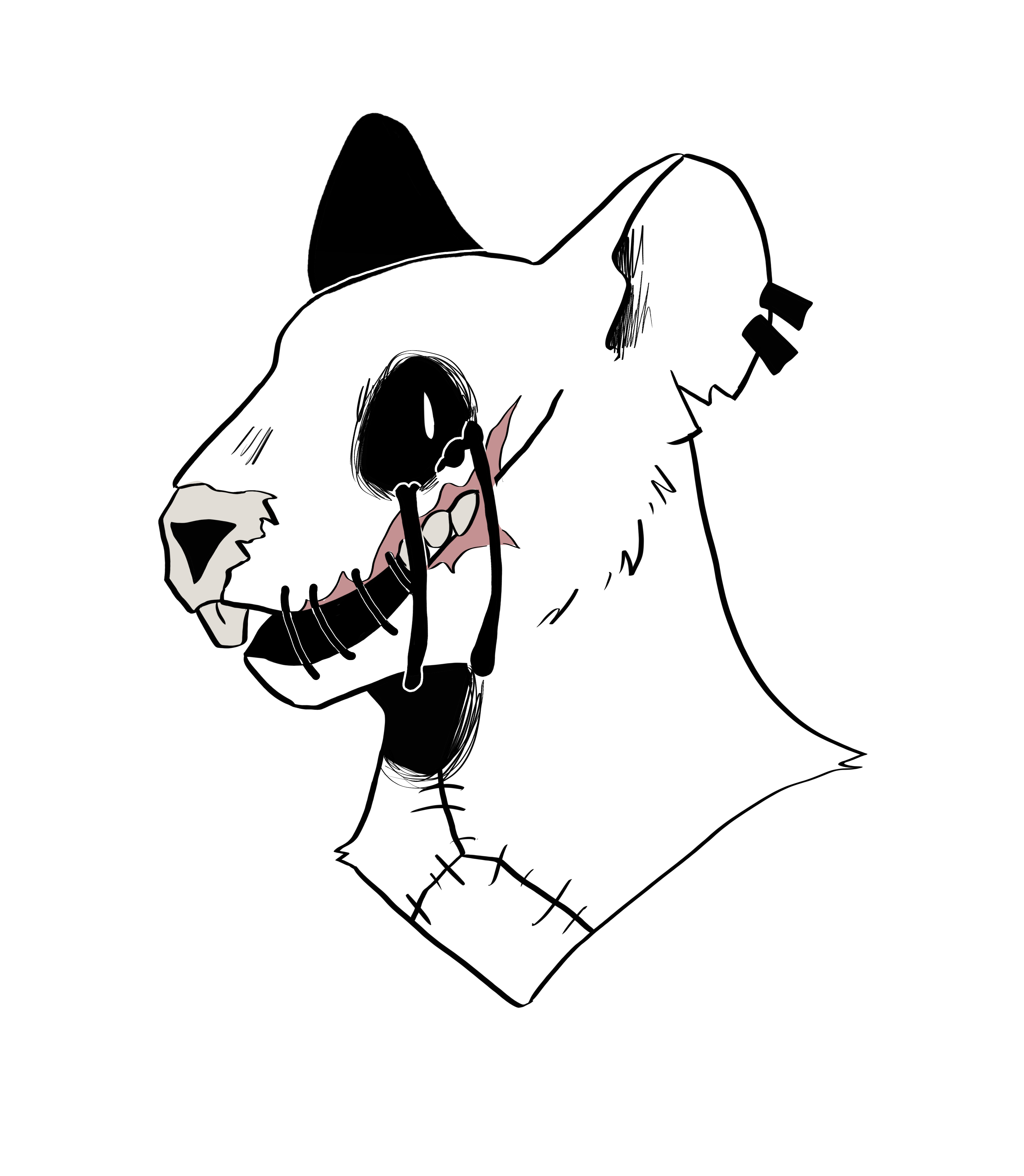 user avatar image for Pestrat