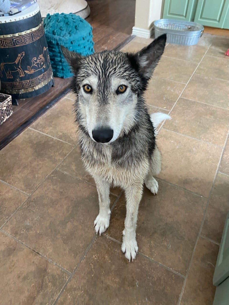 user avatar image for Catherine 