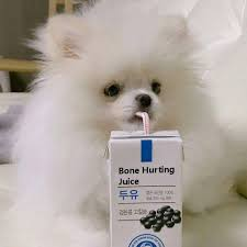 user avatar image for CJ the Bagel Queen