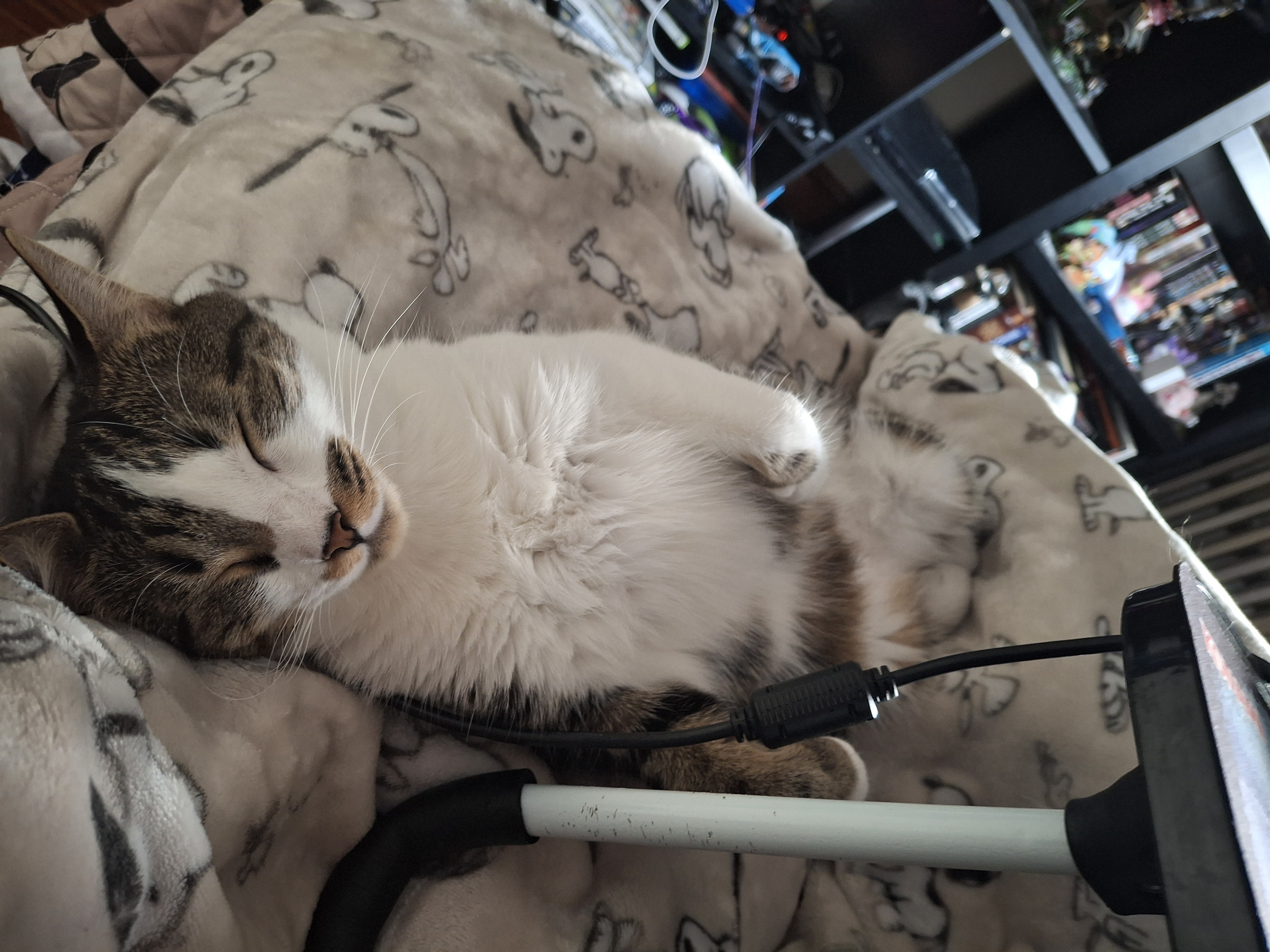 user avatar image for Luna