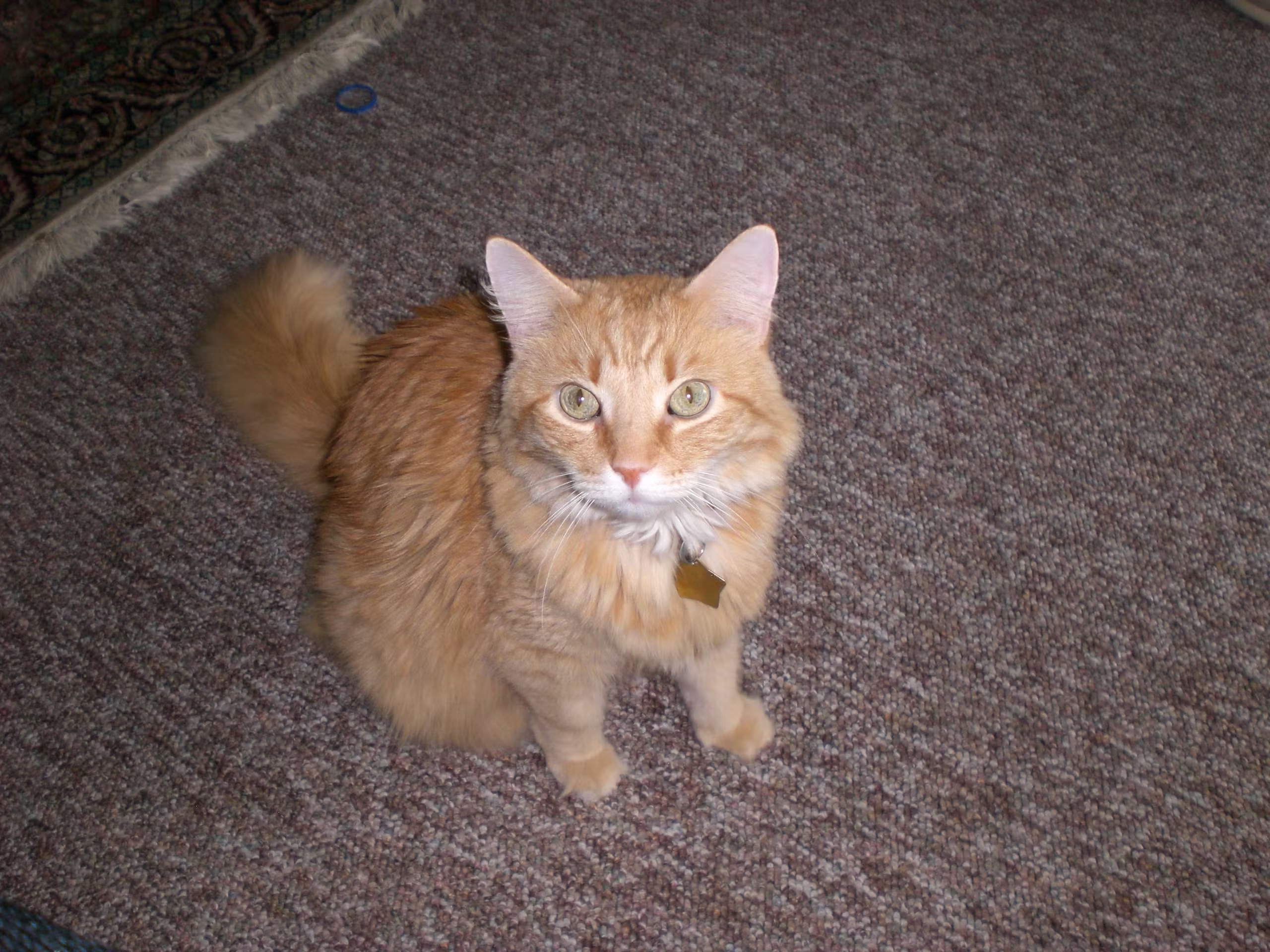 user avatar image for Courtney