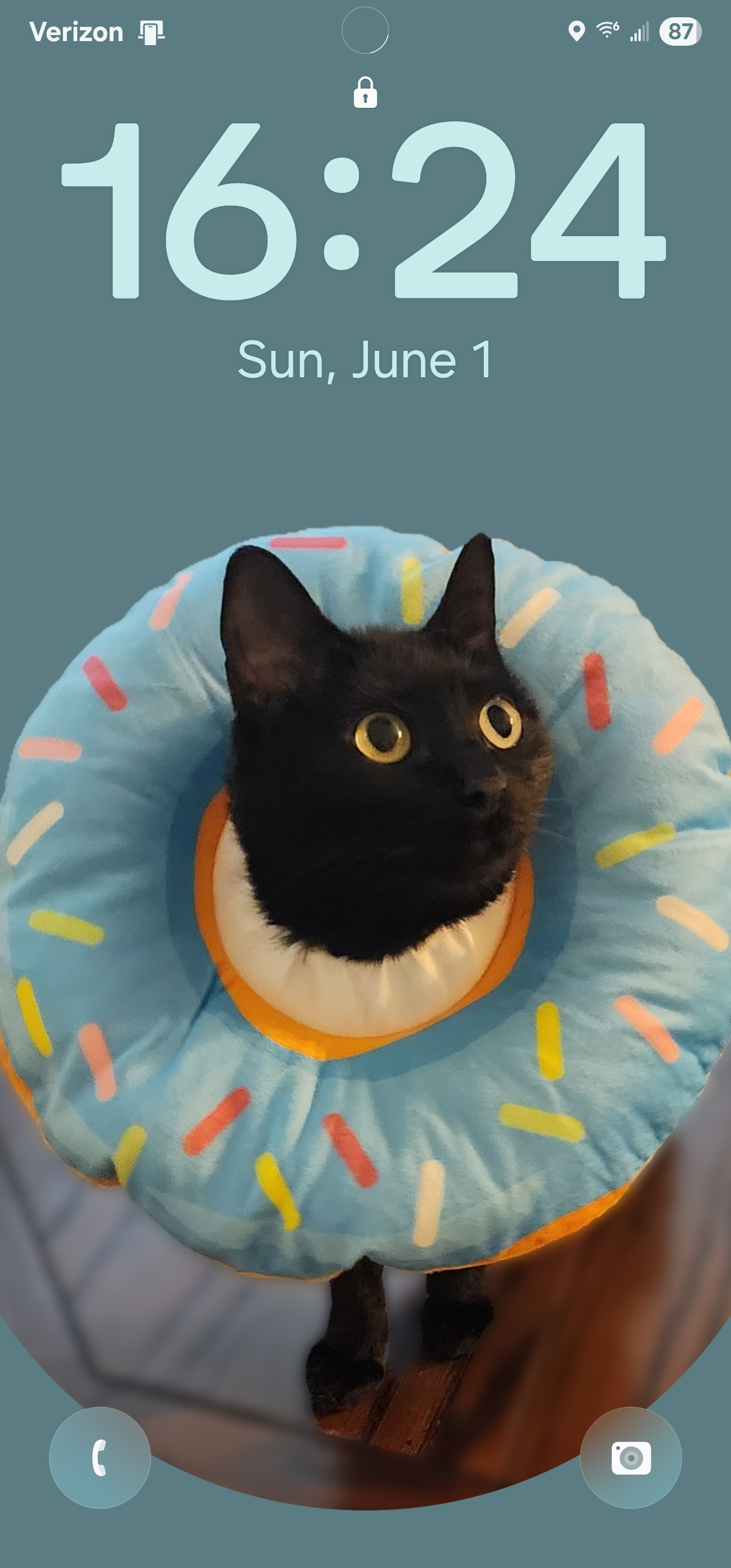 user avatar image for 0x47617279