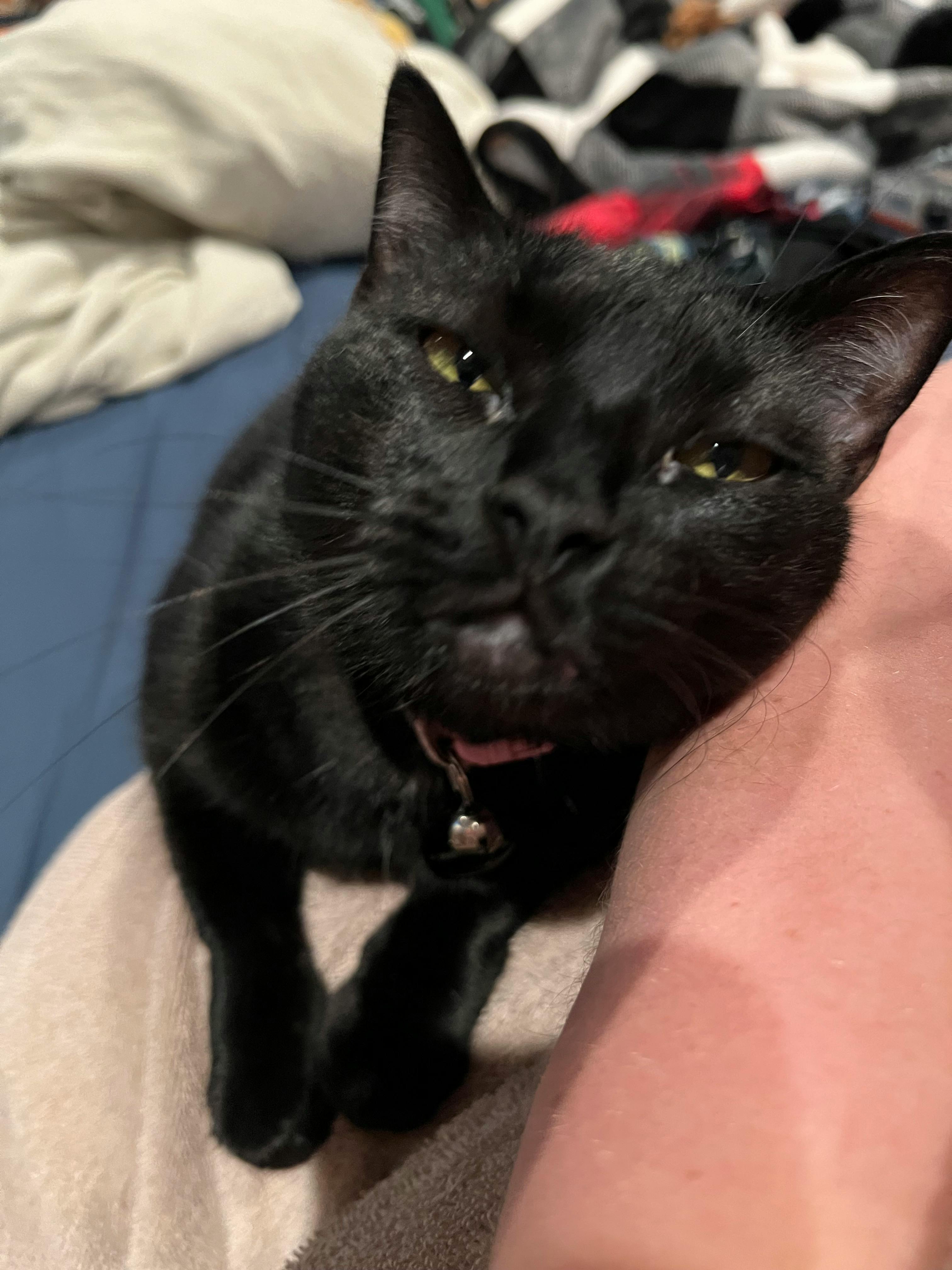 user avatar image for Emily