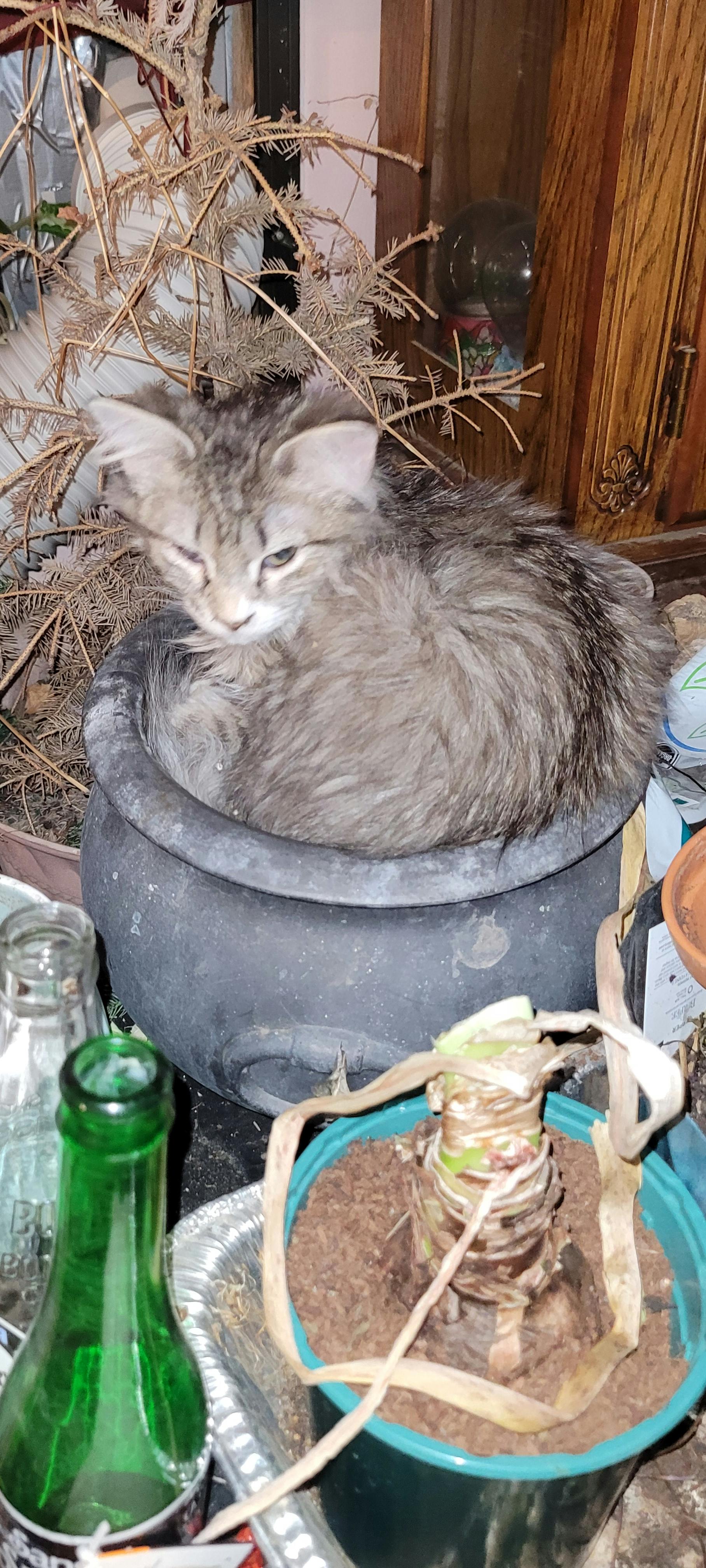 user avatar image for Sydney 