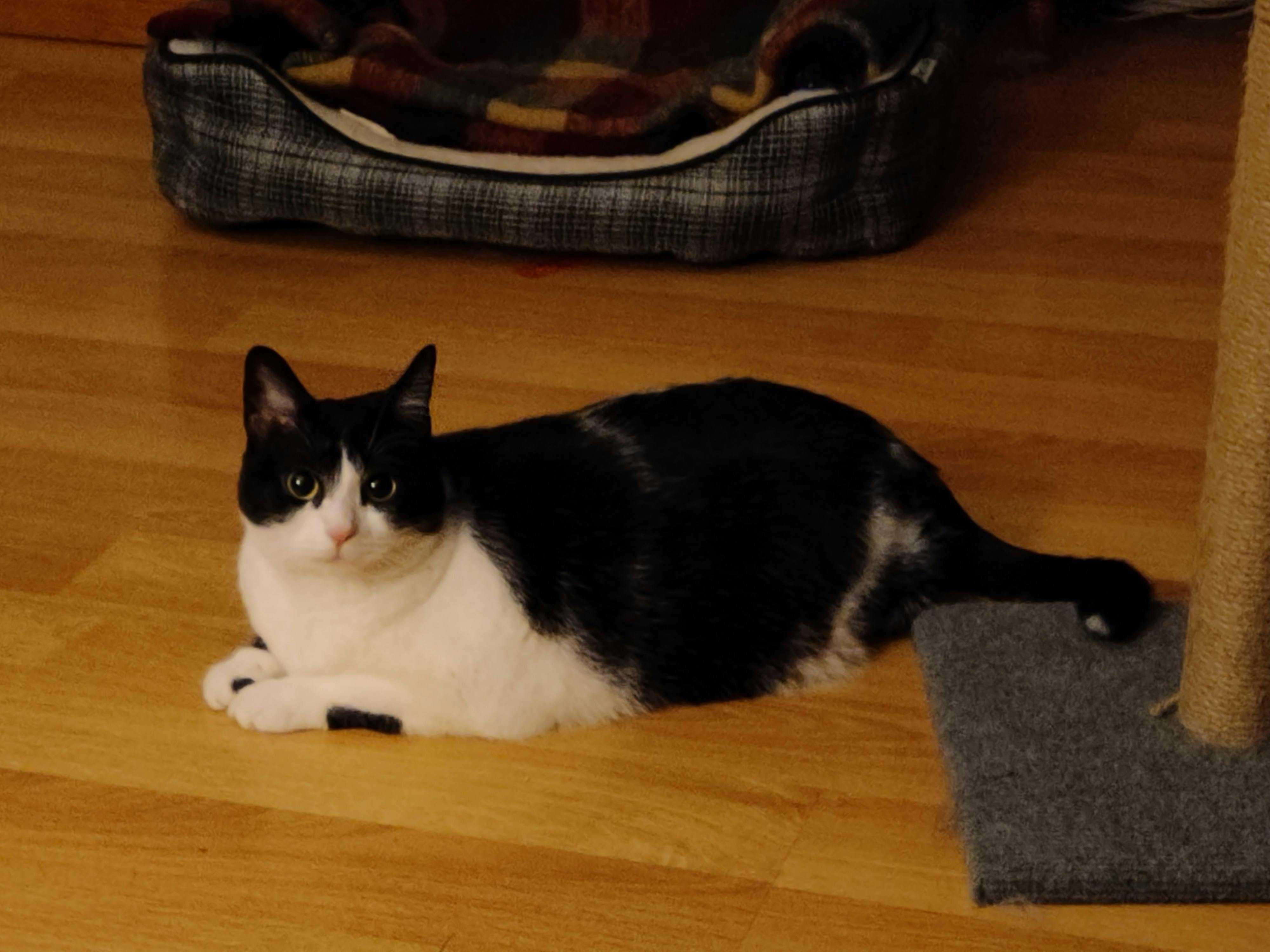 user avatar image for Sabbz1030