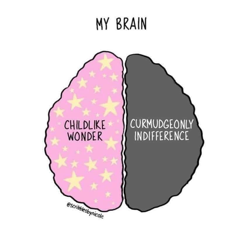 user avatar image for Amy Mansir