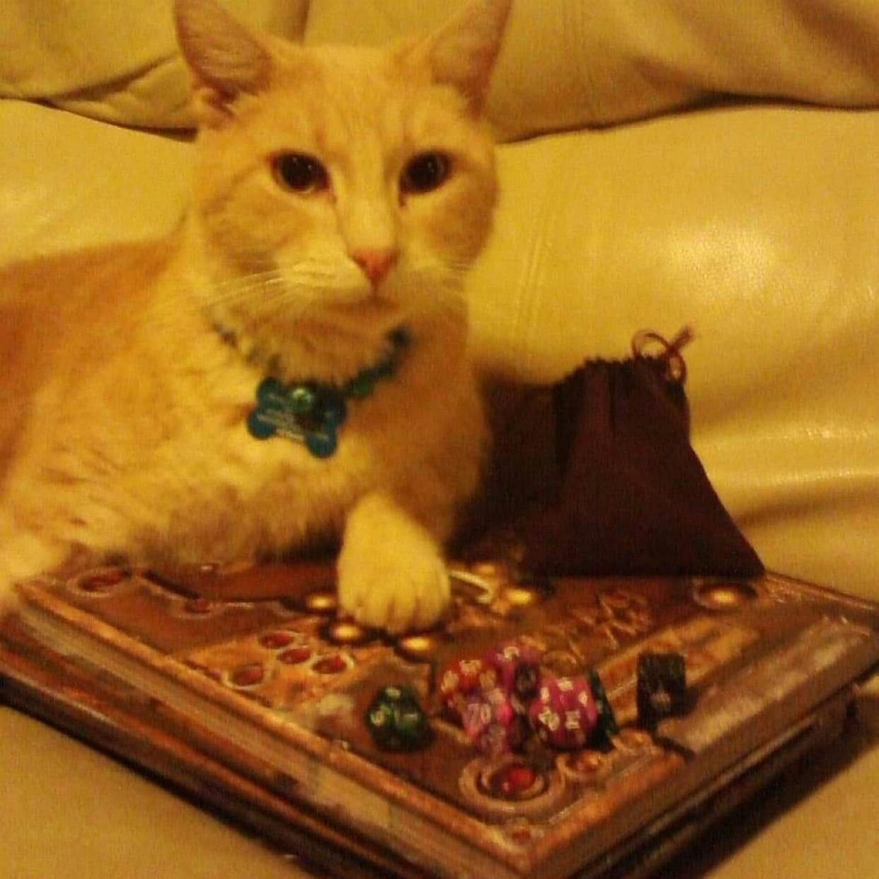 user avatar image for Eyrefan 