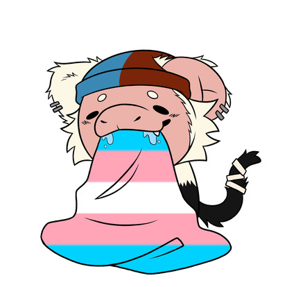 user avatar image for Belay