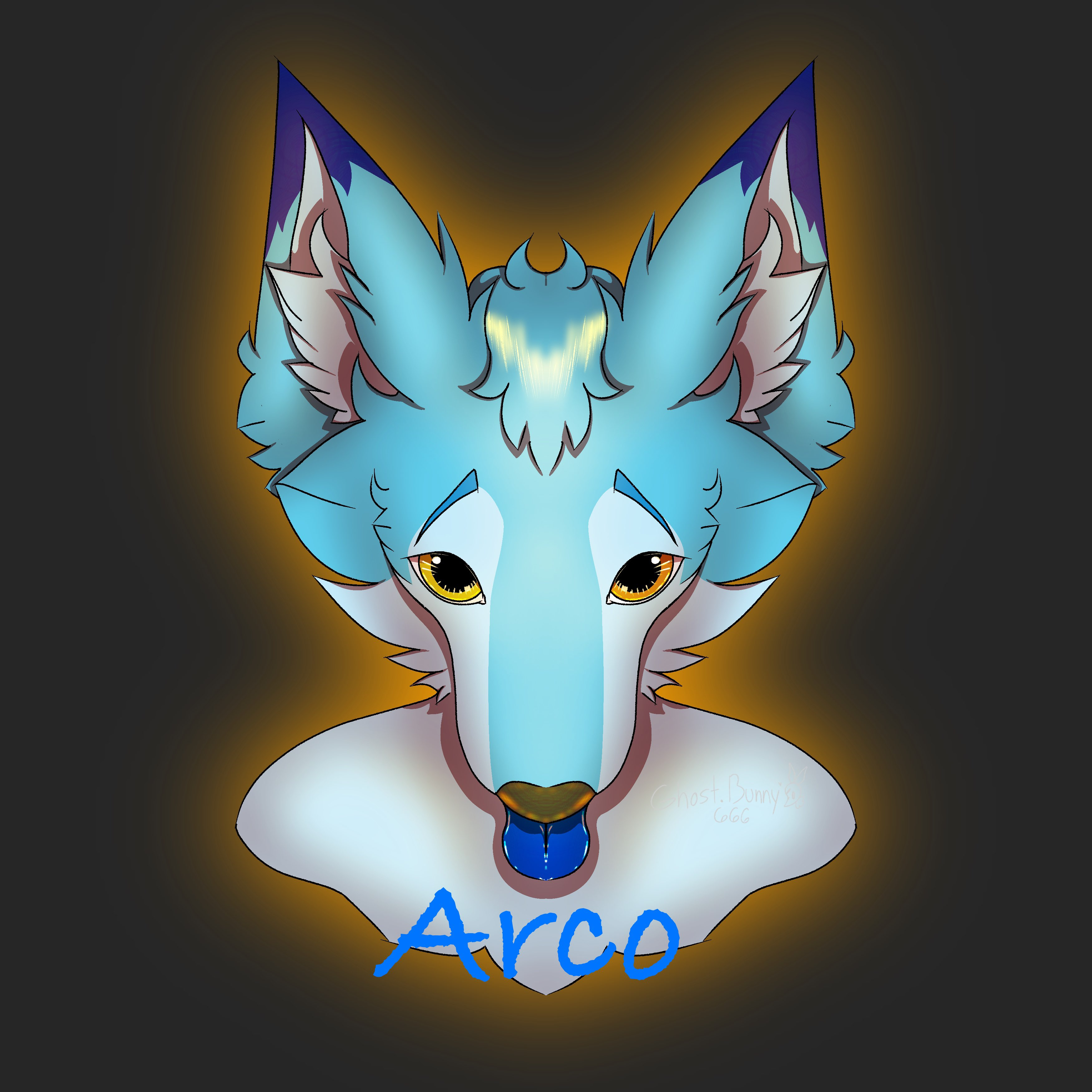 user avatar image for Arcos
