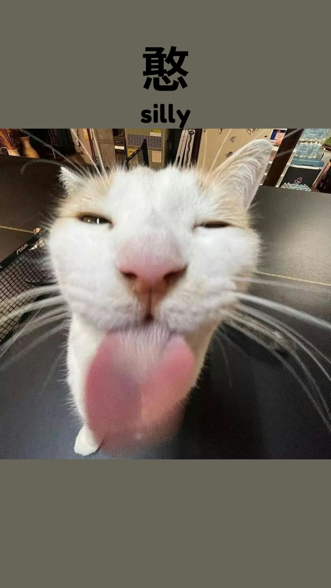 user avatar image for rasitaksan