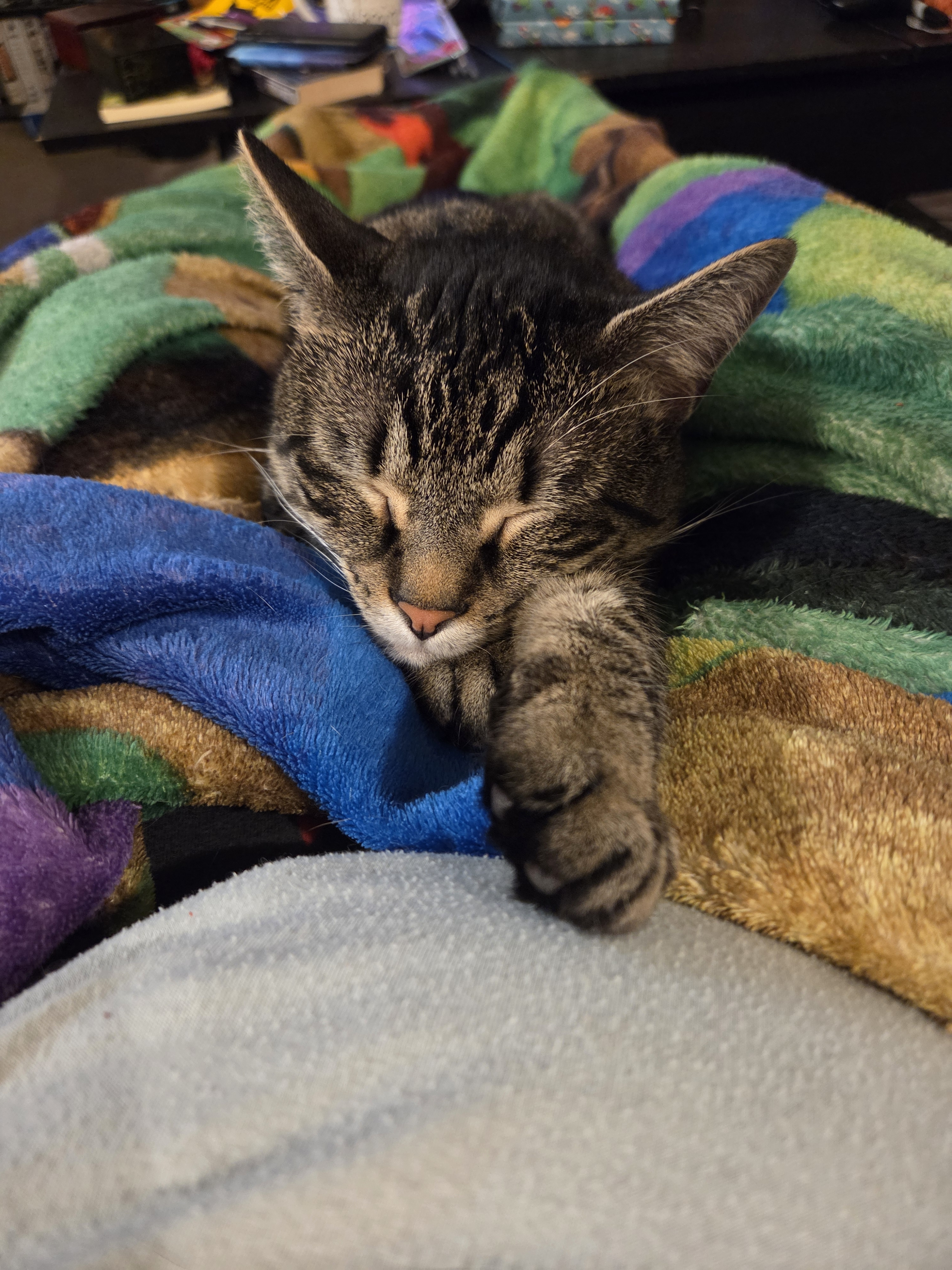 user avatar image for Heather Hanley