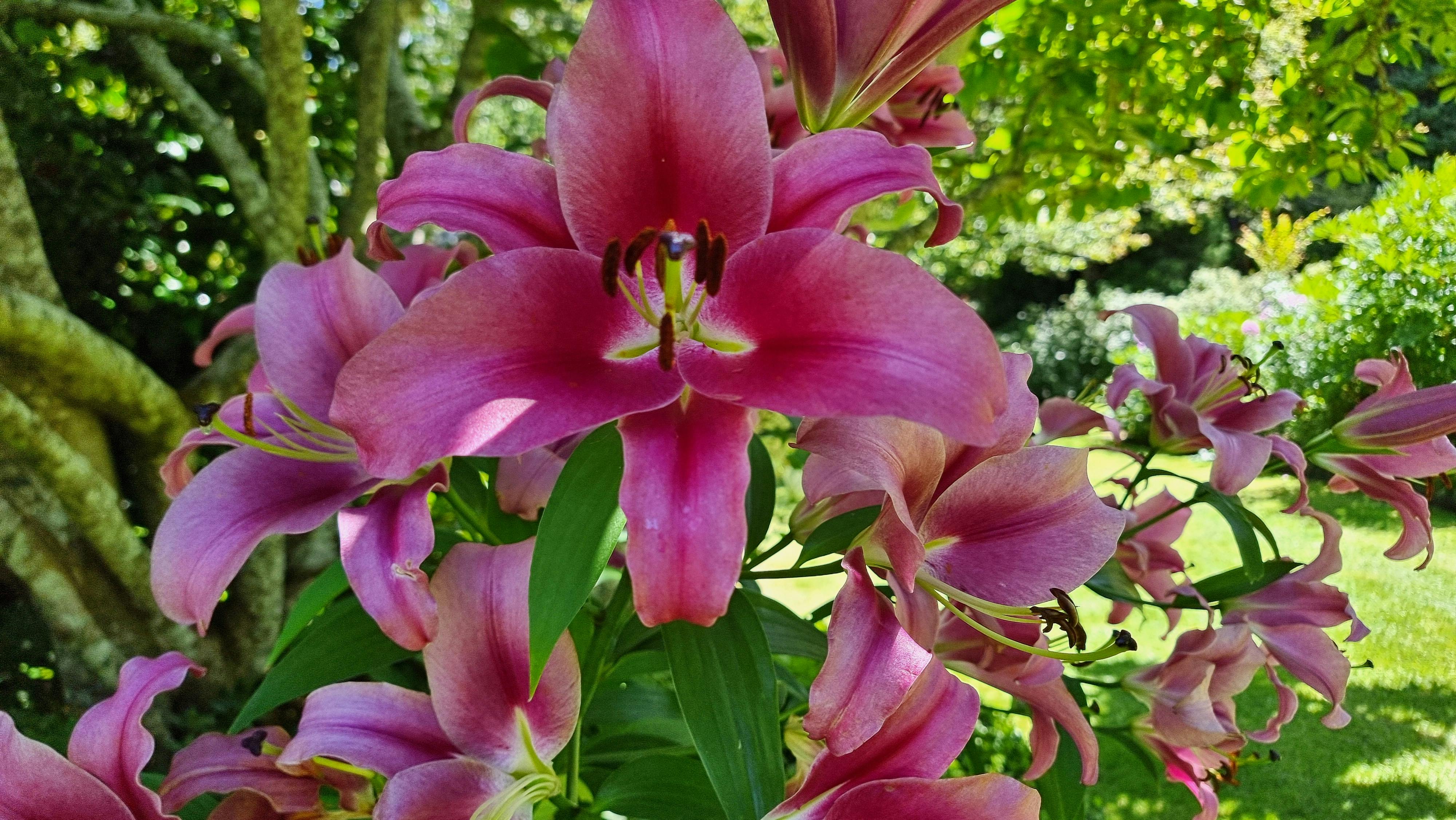 user avatar image for Arkhaine