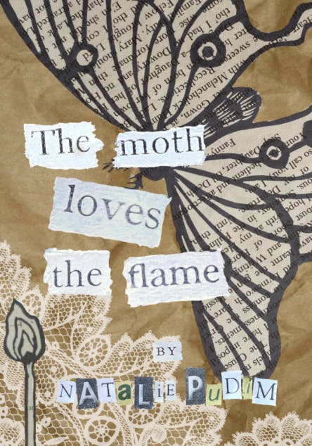The Moth Loves the Flame Physical Book