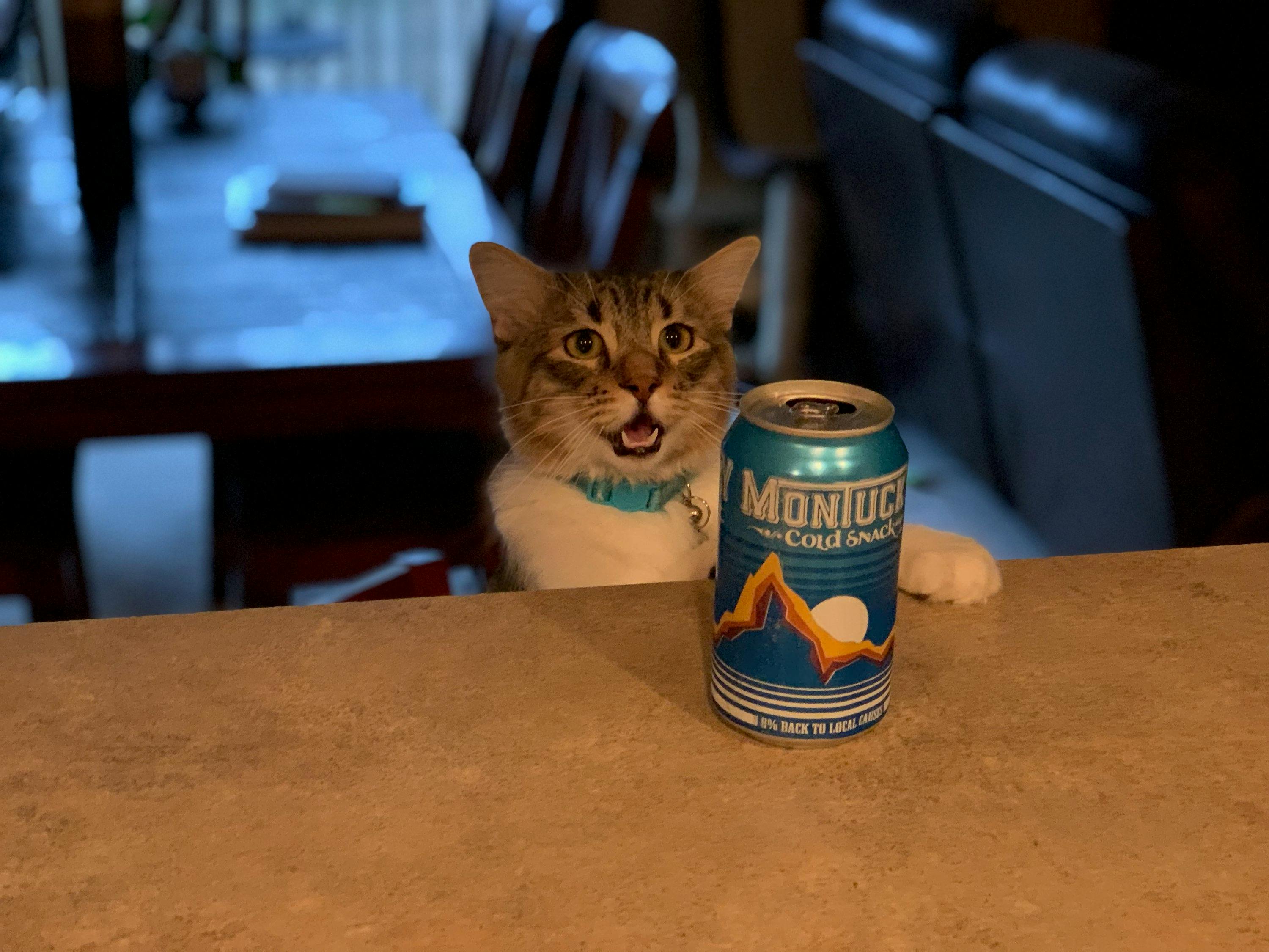 user avatar image for Above_the_Timber