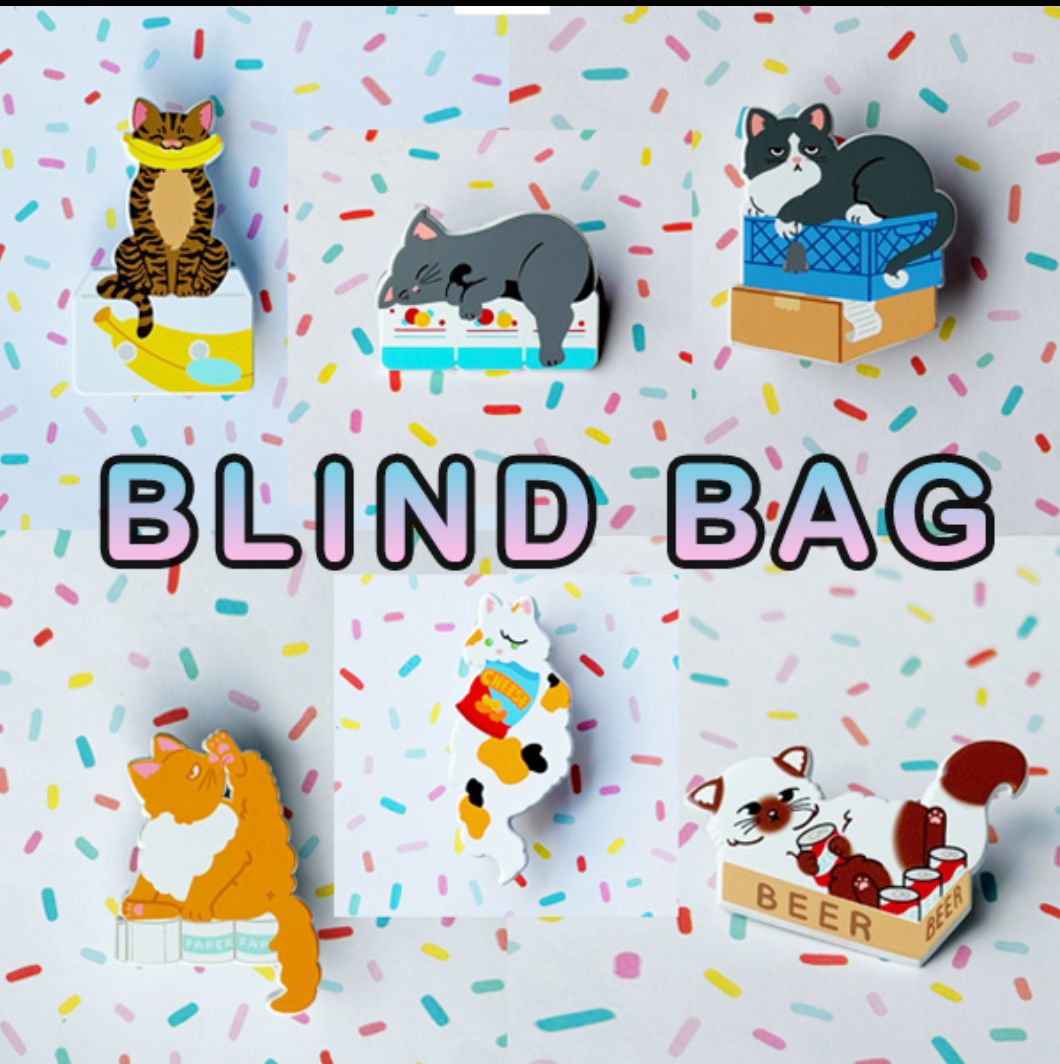 Bodega Cat Blind Bag Pin