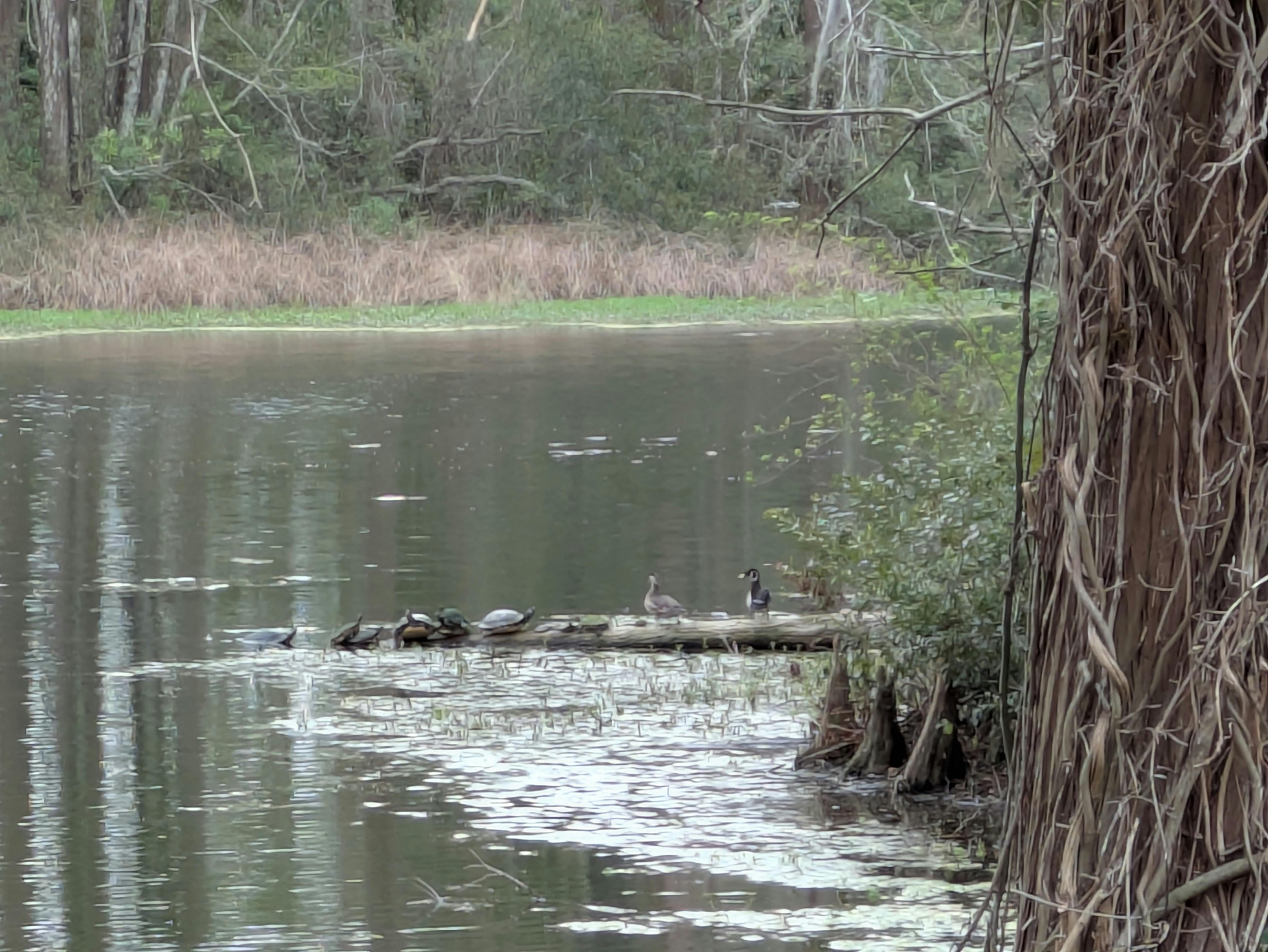 user avatar image for Pauls