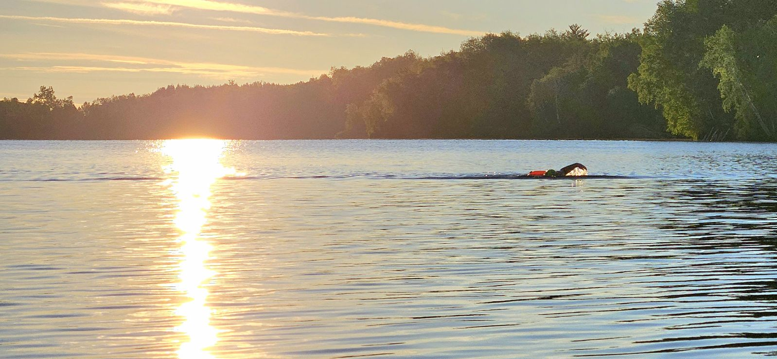 user avatar image for Sara