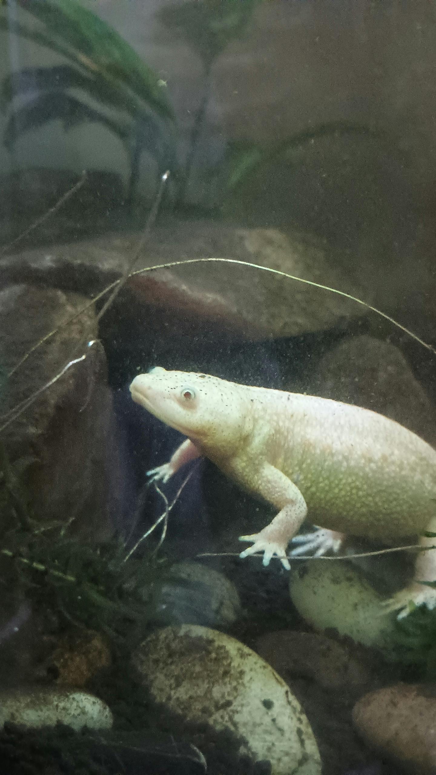 user avatar image for Kylie