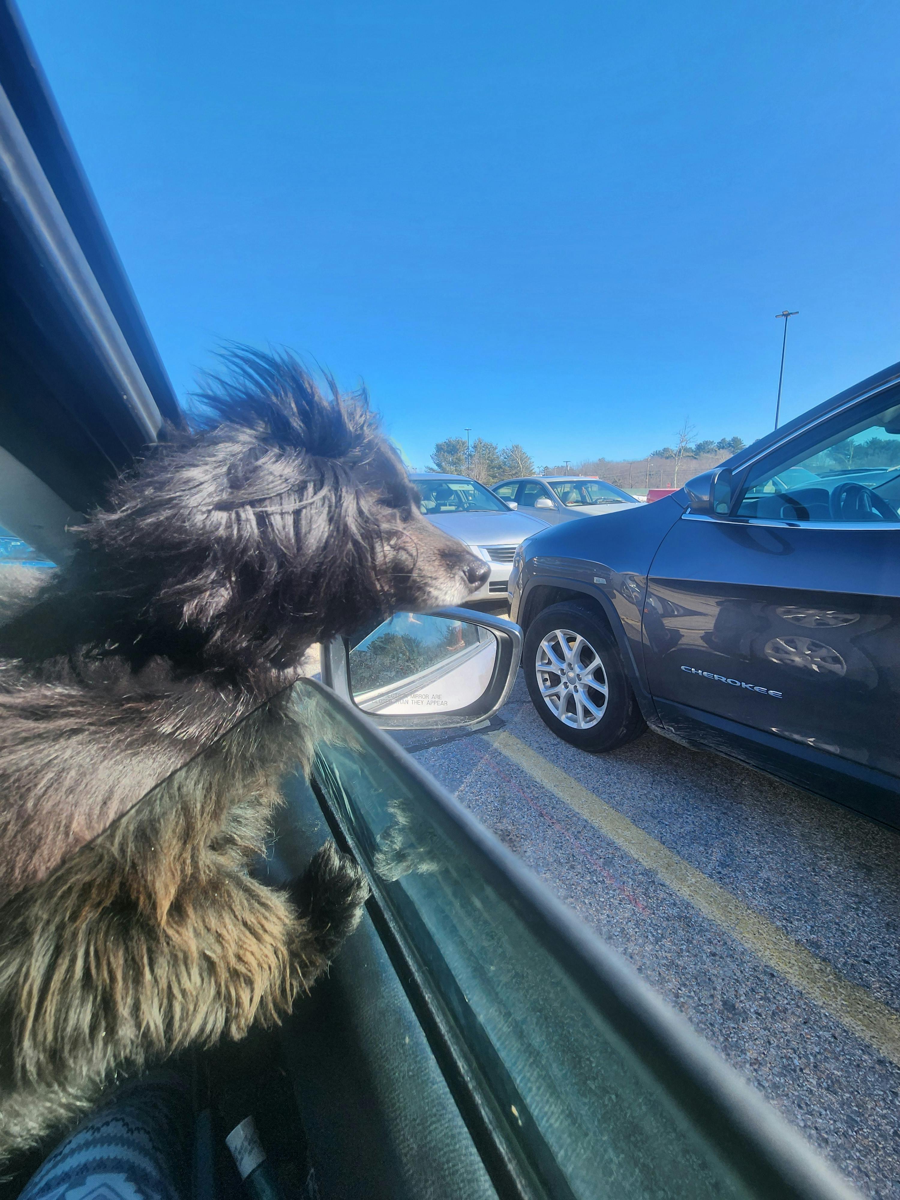 user avatar image for Sammy 