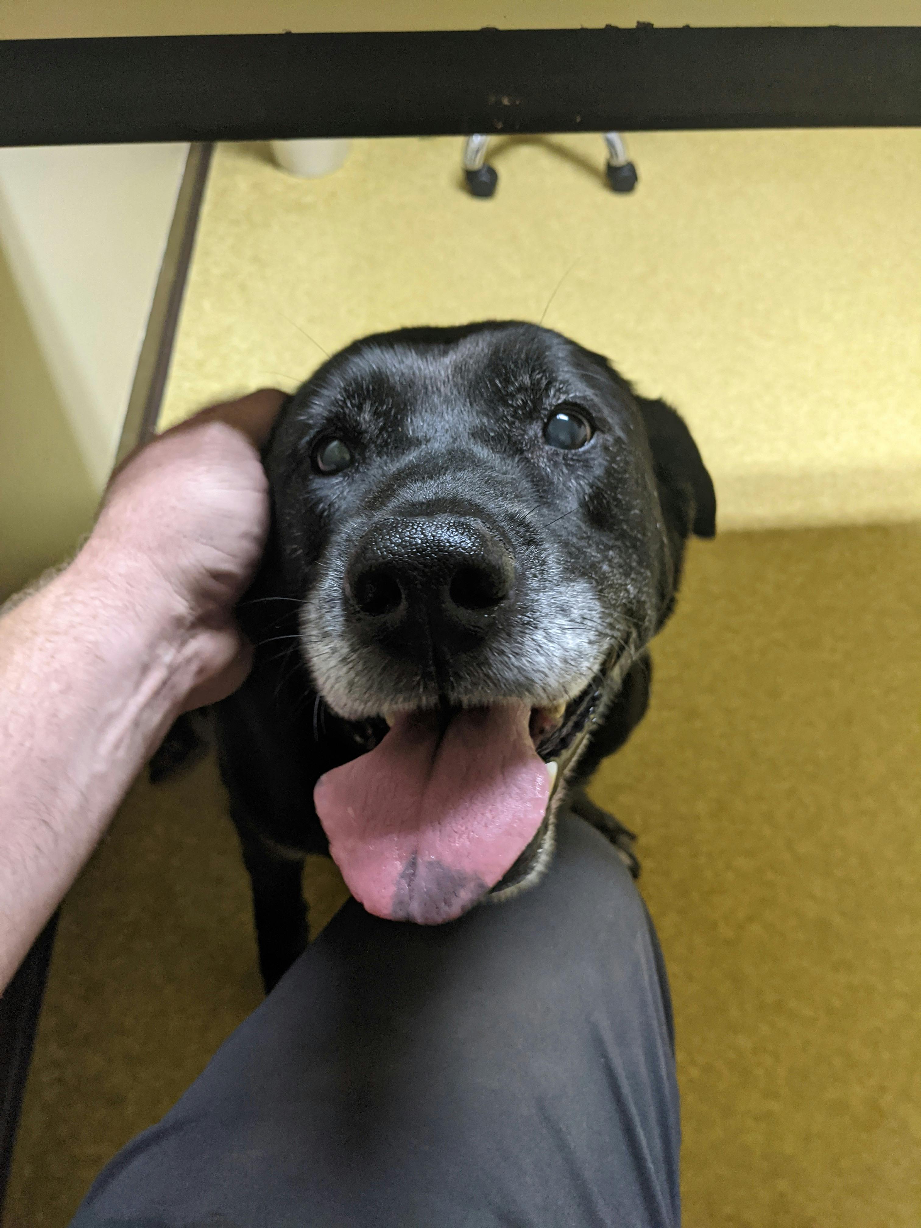 user avatar image for Jacob Crumpacker