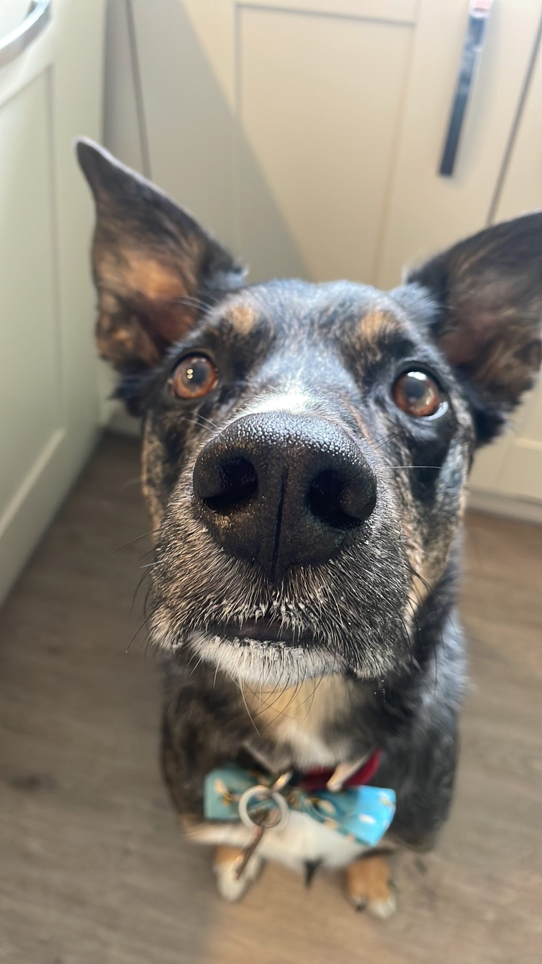 user avatar image for Nathan Cotter