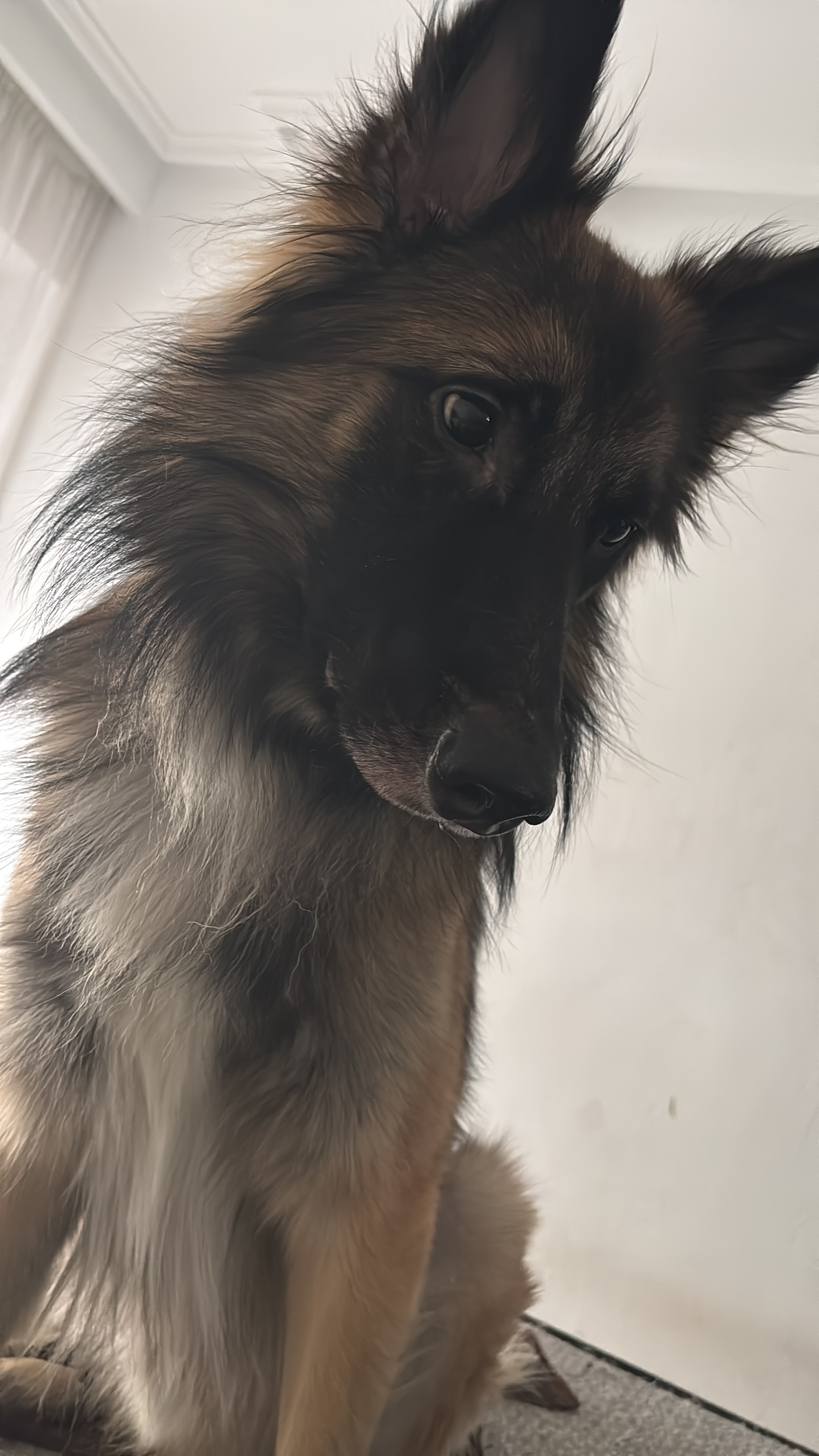 user avatar image for Toni