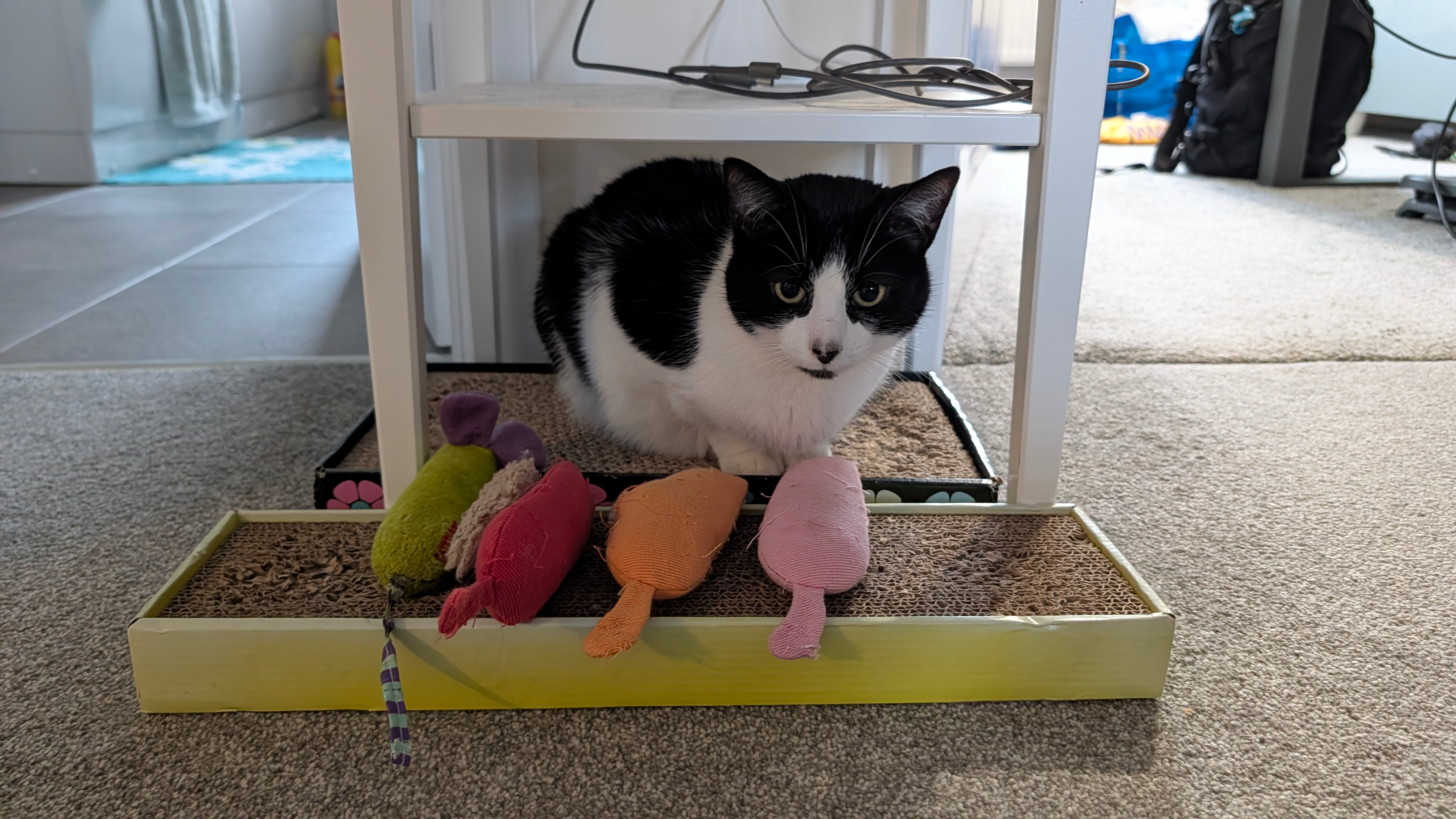 user avatar image for Michelle