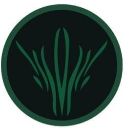 user avatar image for CleverPeeve