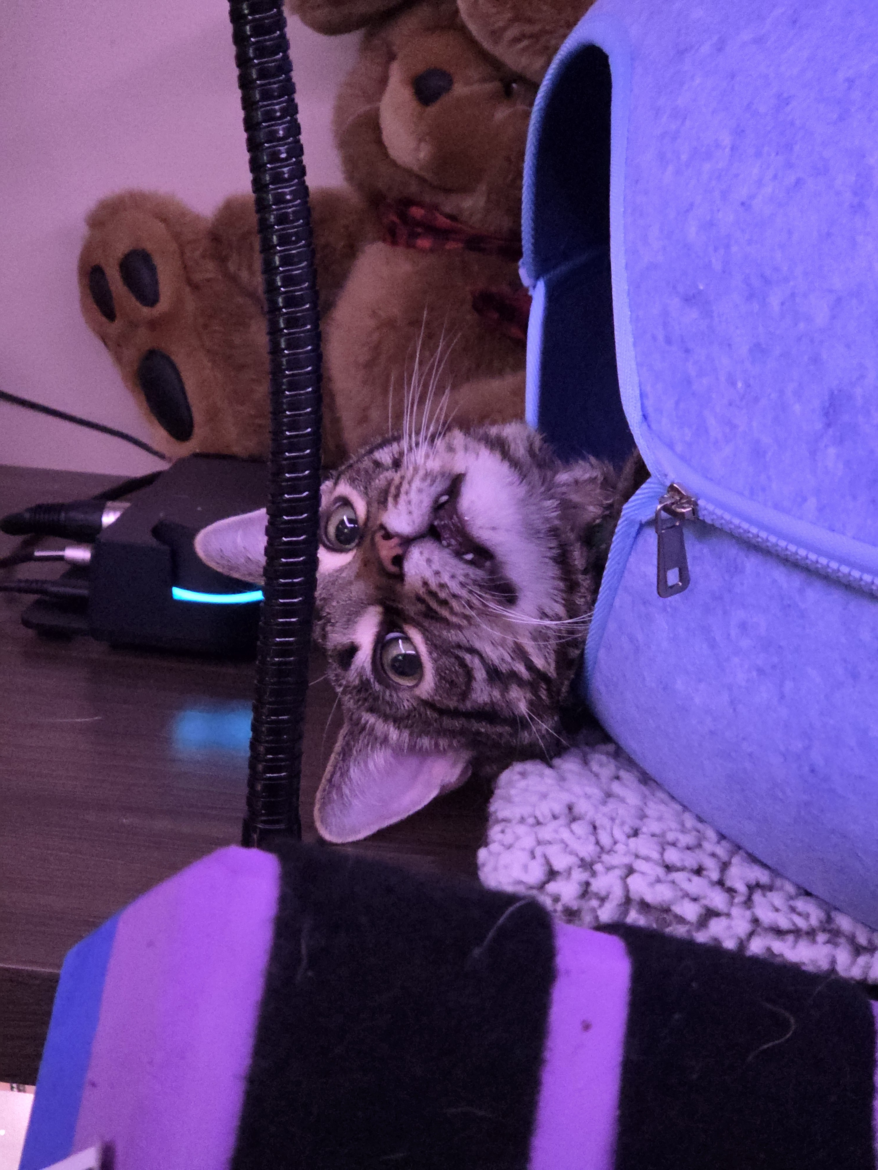 user avatar image for Nubs