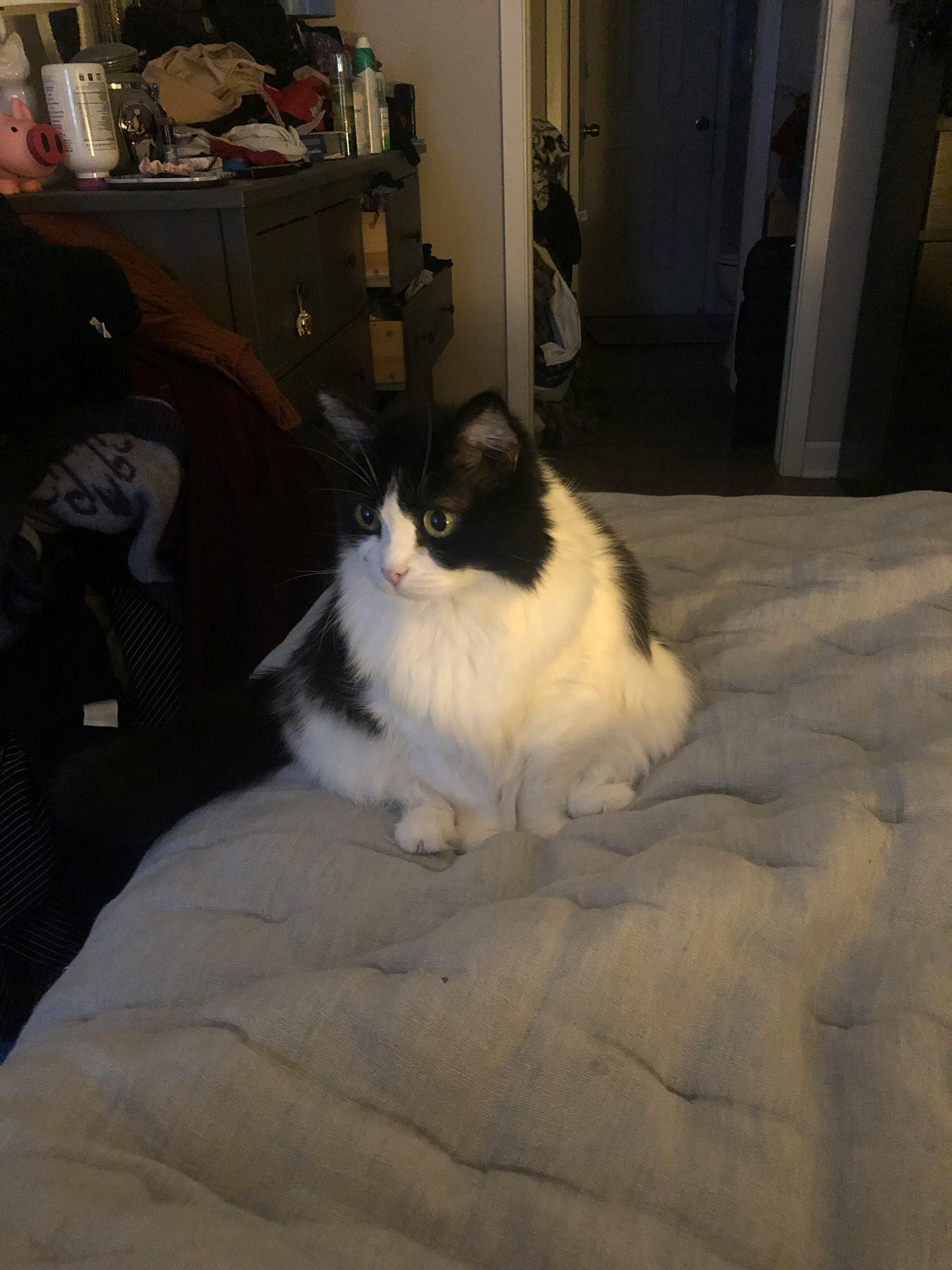 user avatar image for Katy