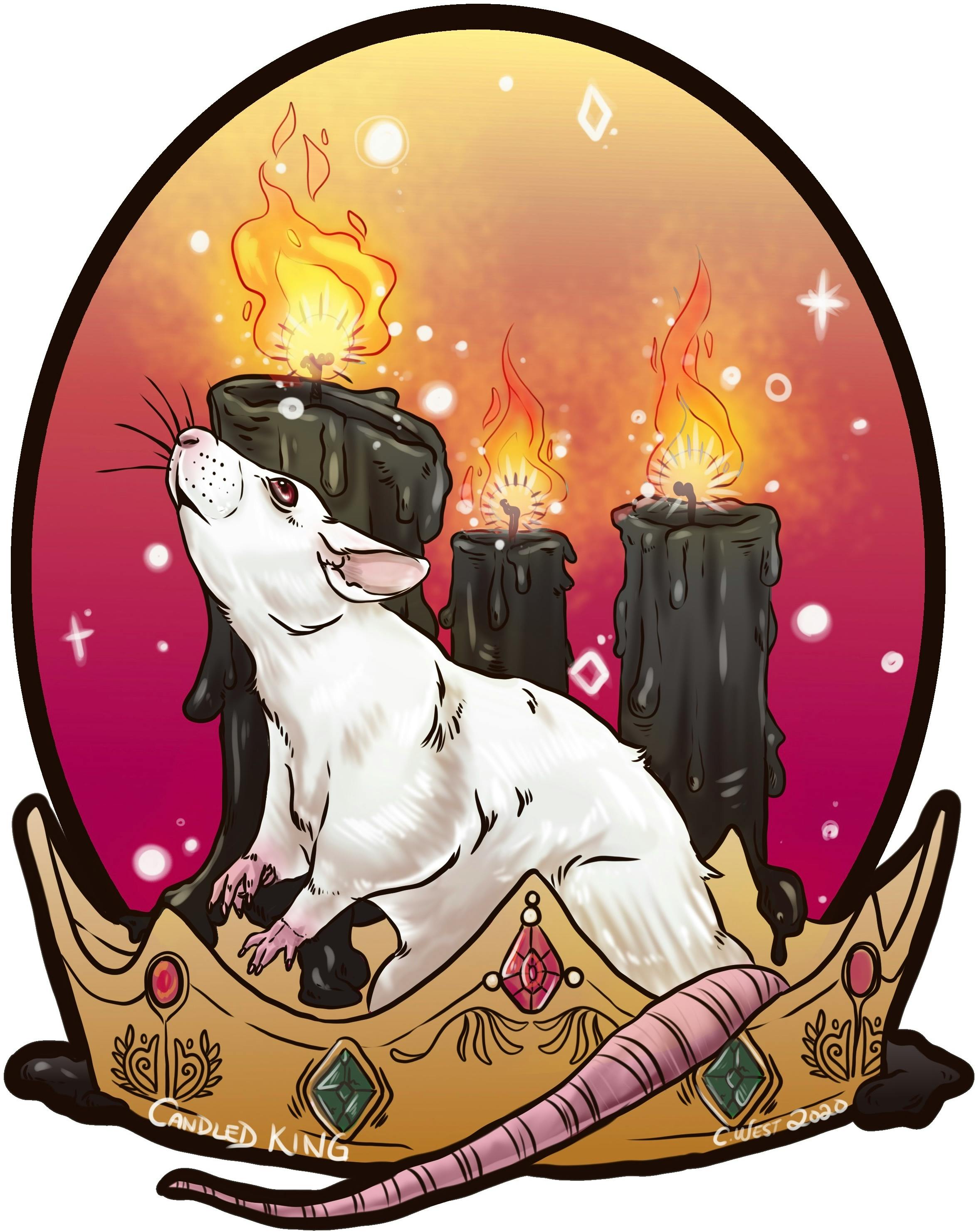 user avatar image for Candle