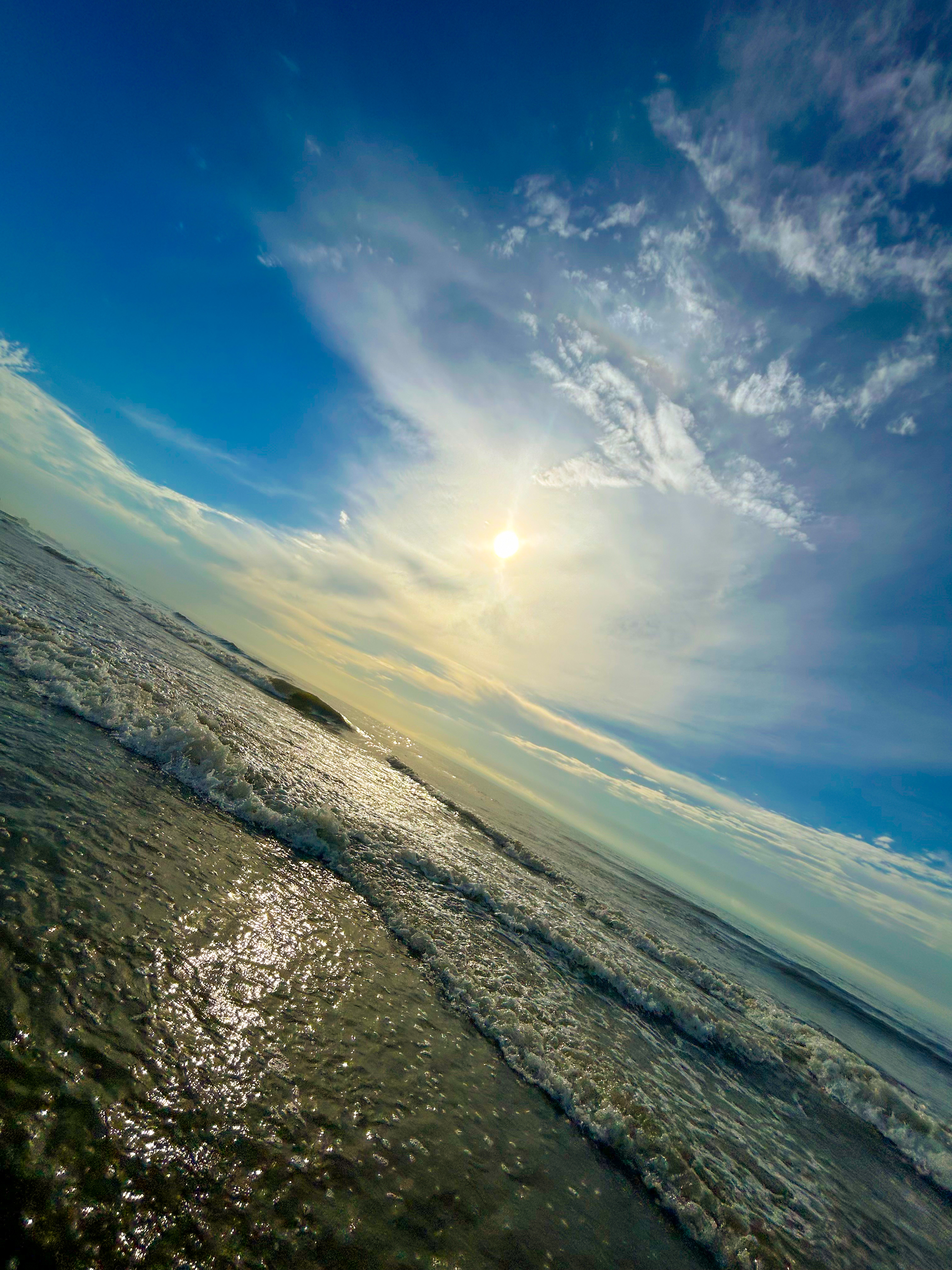 user avatar image for Surfinplatypus