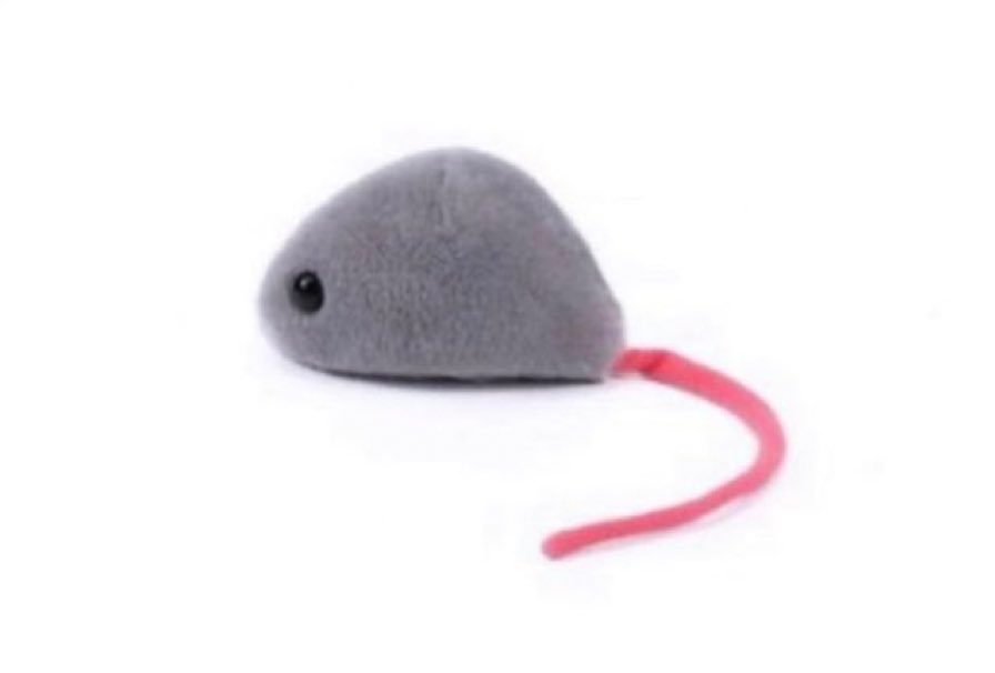 user avatar image for Mousr