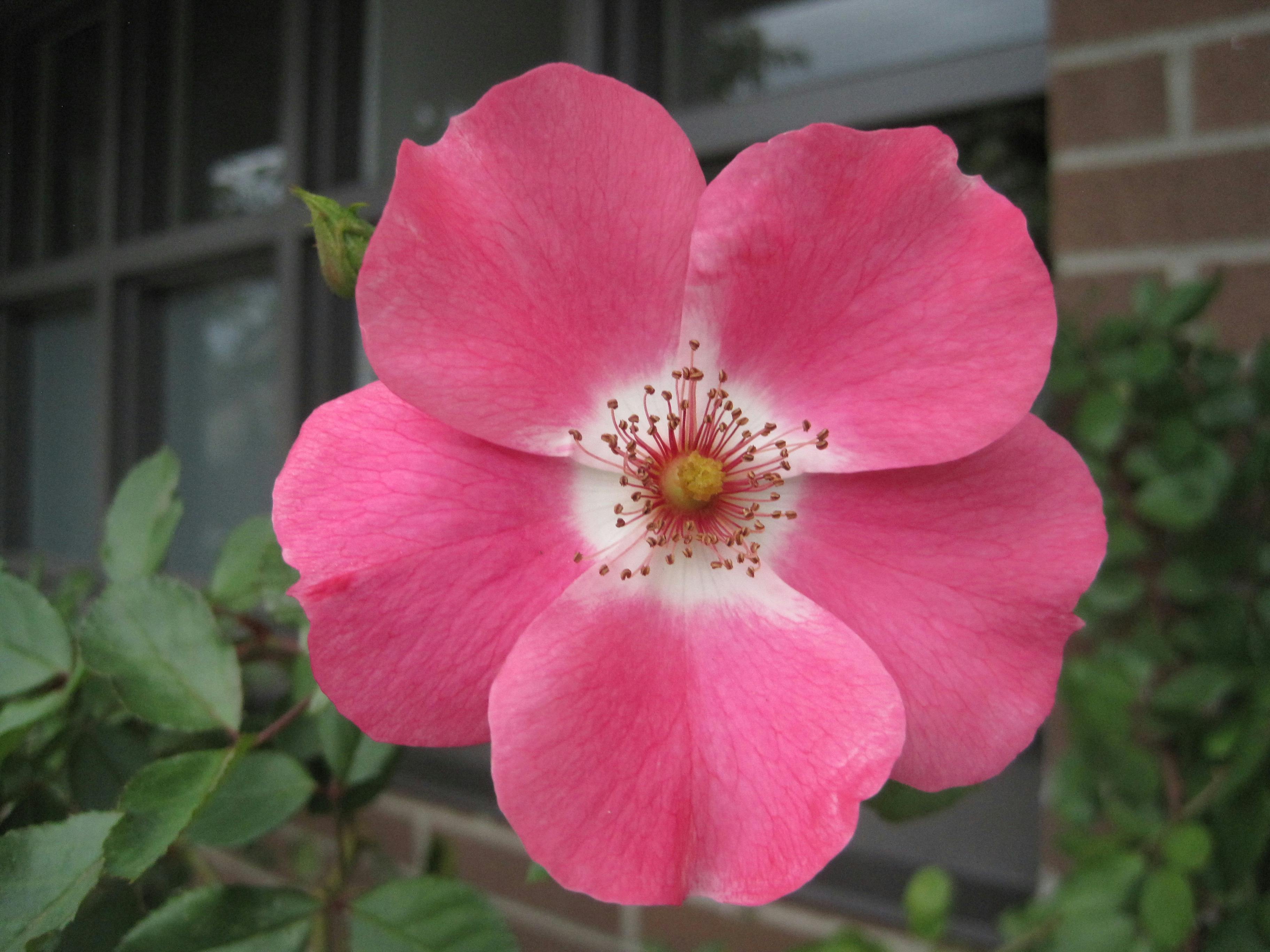 user avatar image for Jay