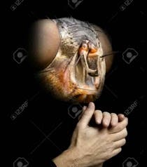 user avatar image for Ashtyn Hotelling 